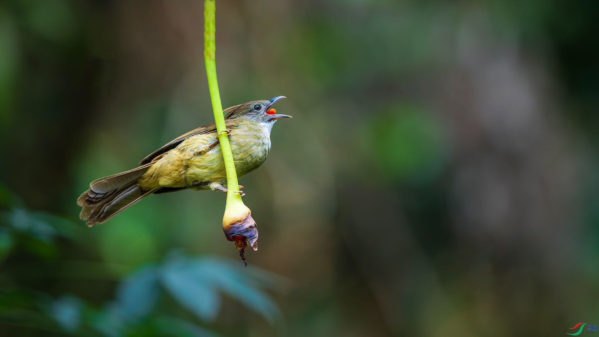 1_XXL0685-����ǿ-NR ����-1.jpeg