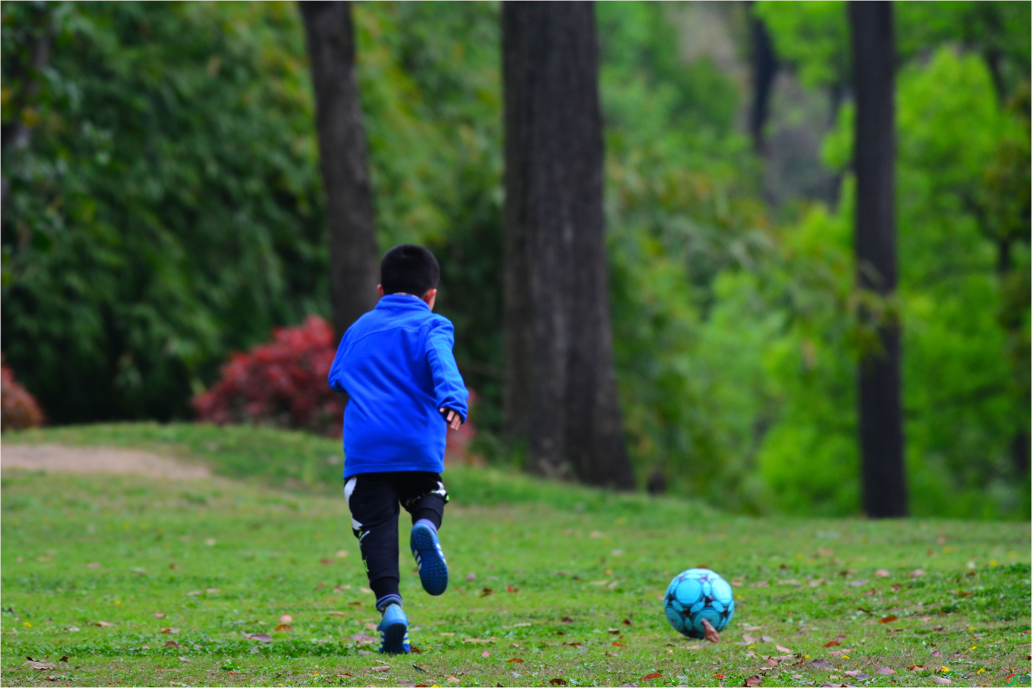 ����ǿ�t��ǿ