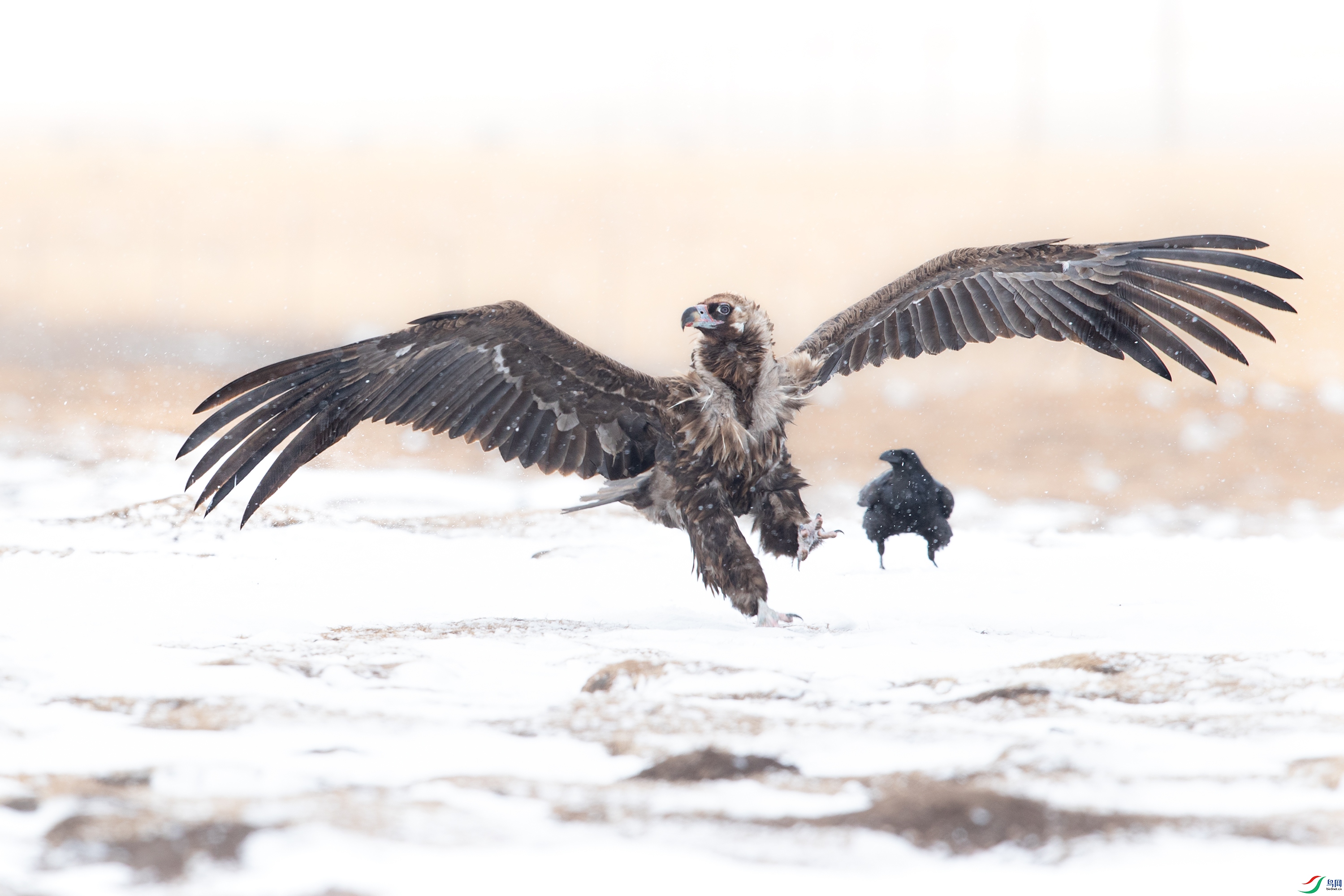 _Y8I6394 ����.jpg