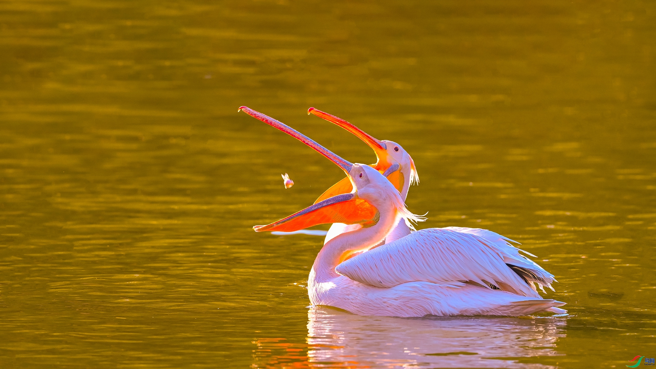 ÿ�ռ���  ����һ�� ���� ������ͷ ����.jpg