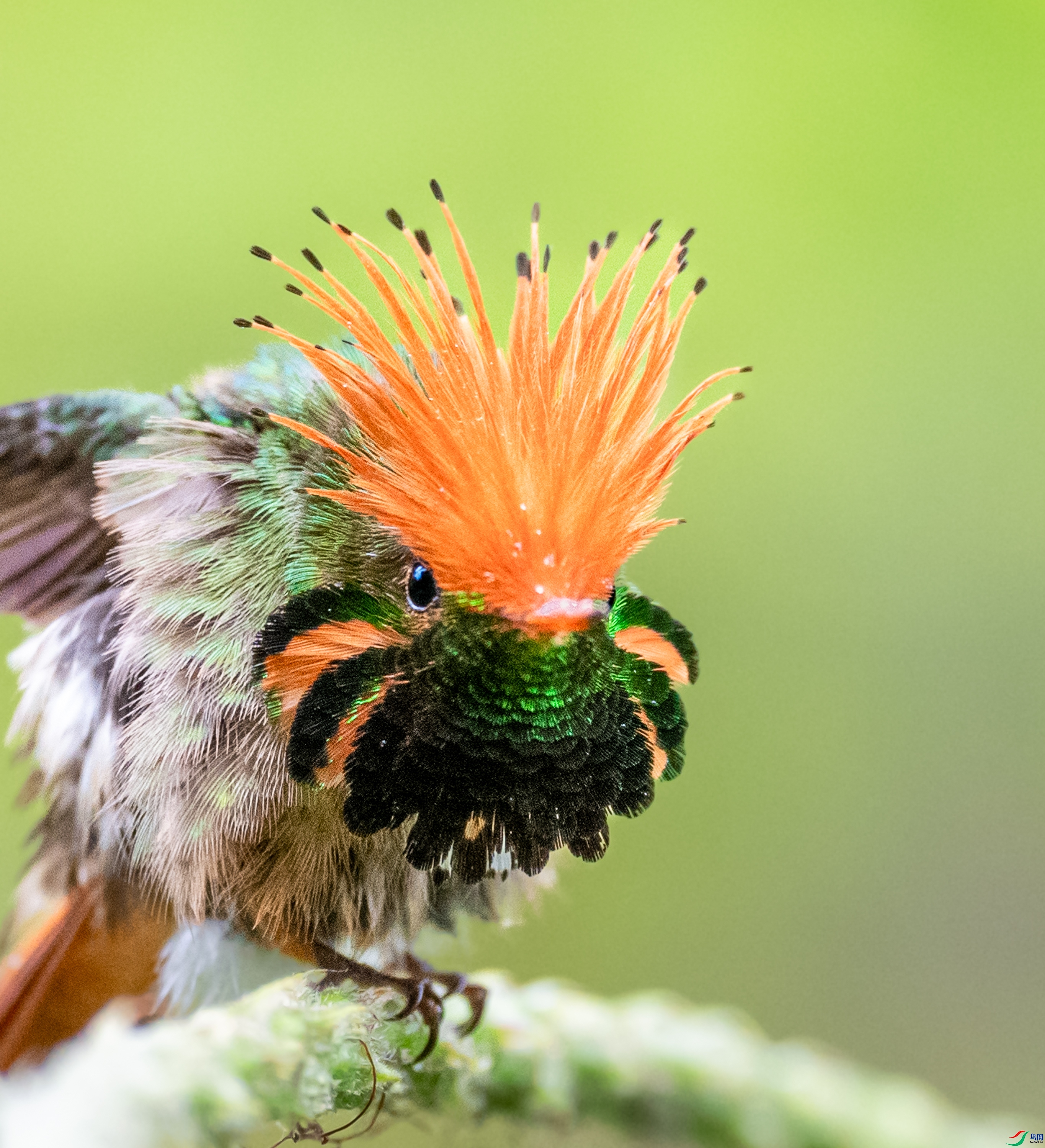 ÿ�ռ��� �����С��-�عڷ���  ���� ����.jpg