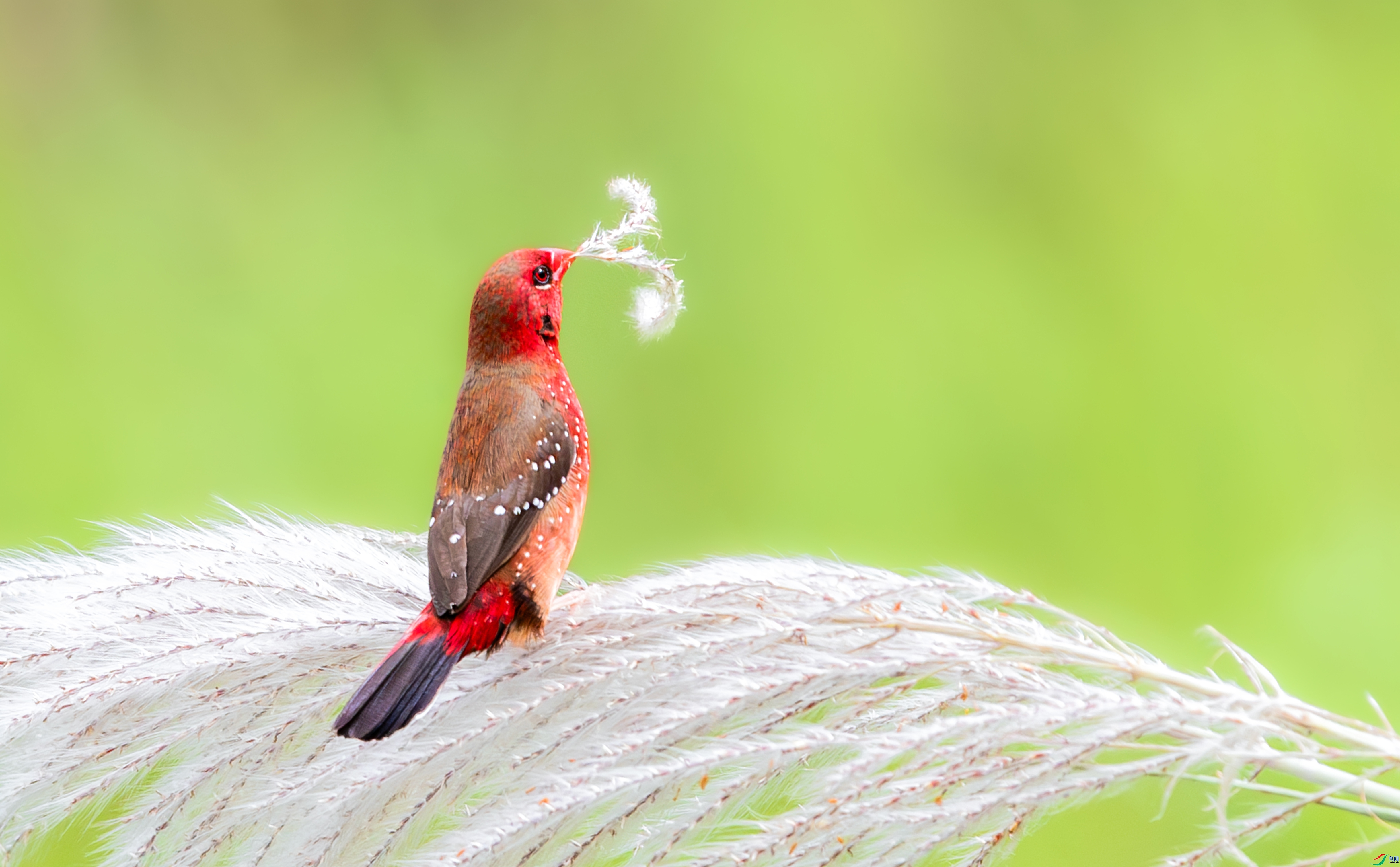 ��÷�ɻ�  ���� ����  ��һ.jpg