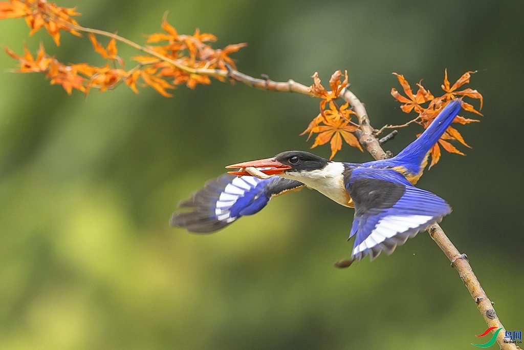 ����� ���� ���ַ� ��һ.jpg