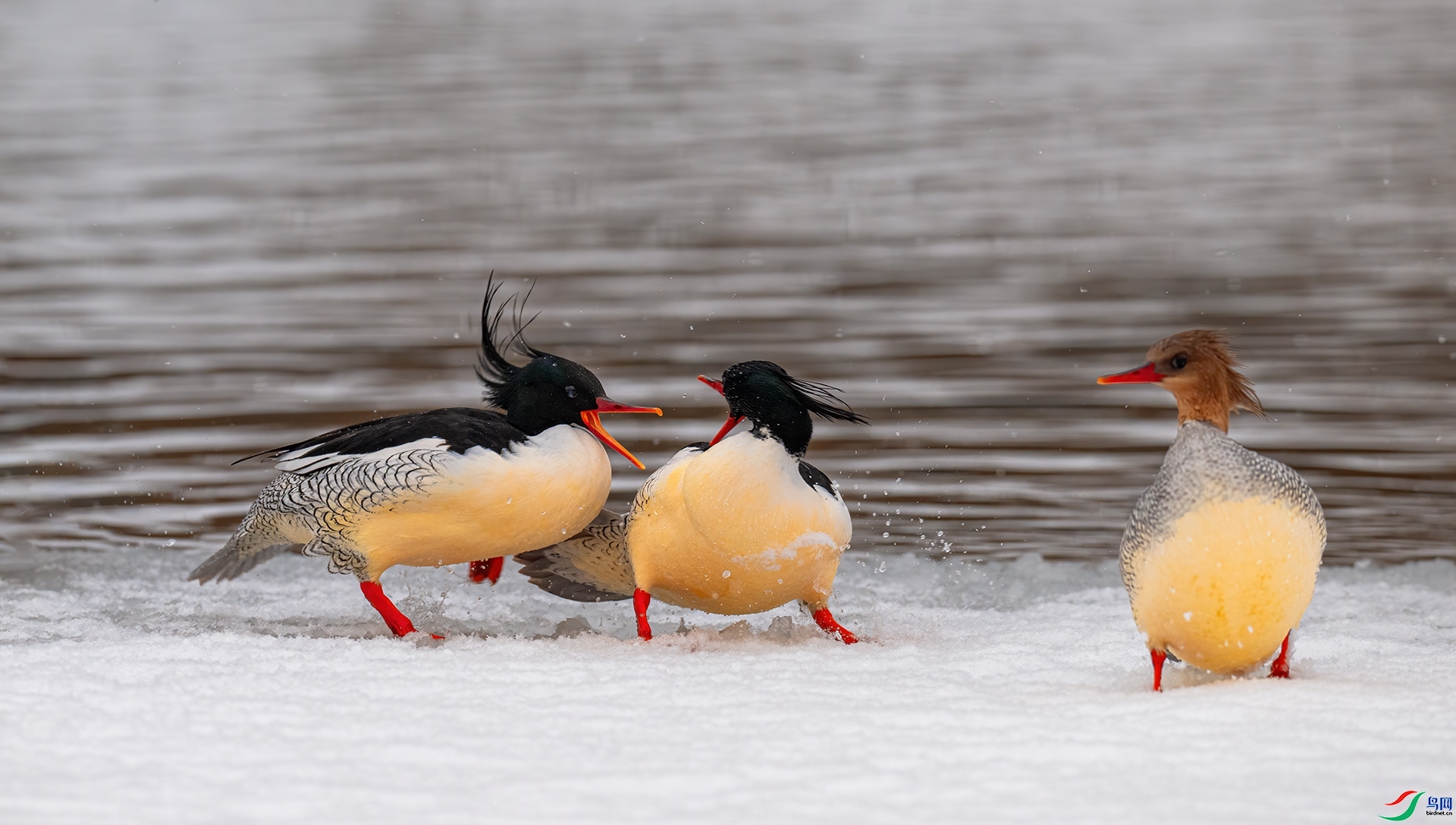 �������� ���� �������� ��һ.jpg