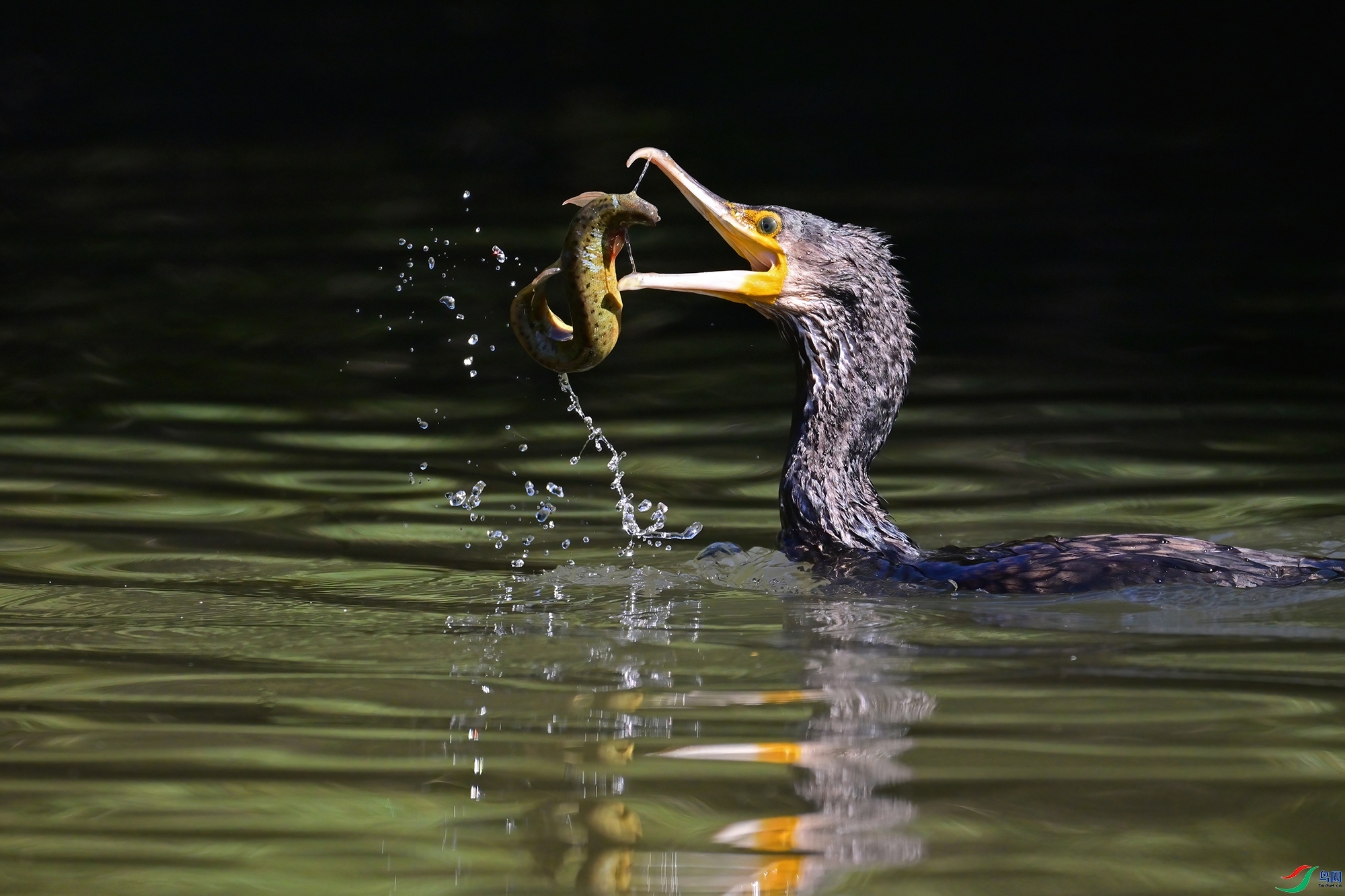 ˣ����  ���� 0451x  ��һ.jpg