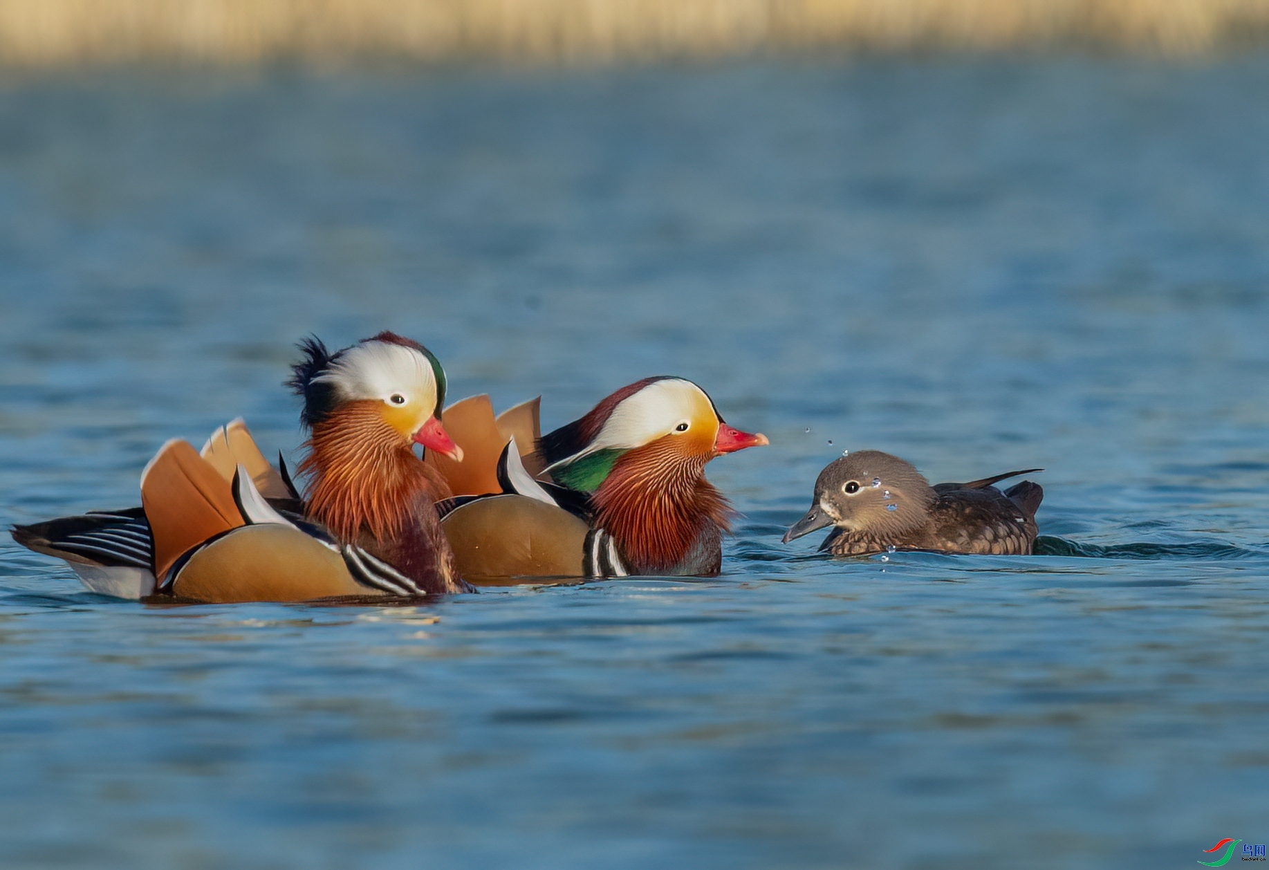 ����  ���� һ·���� �ܶ�.jpg