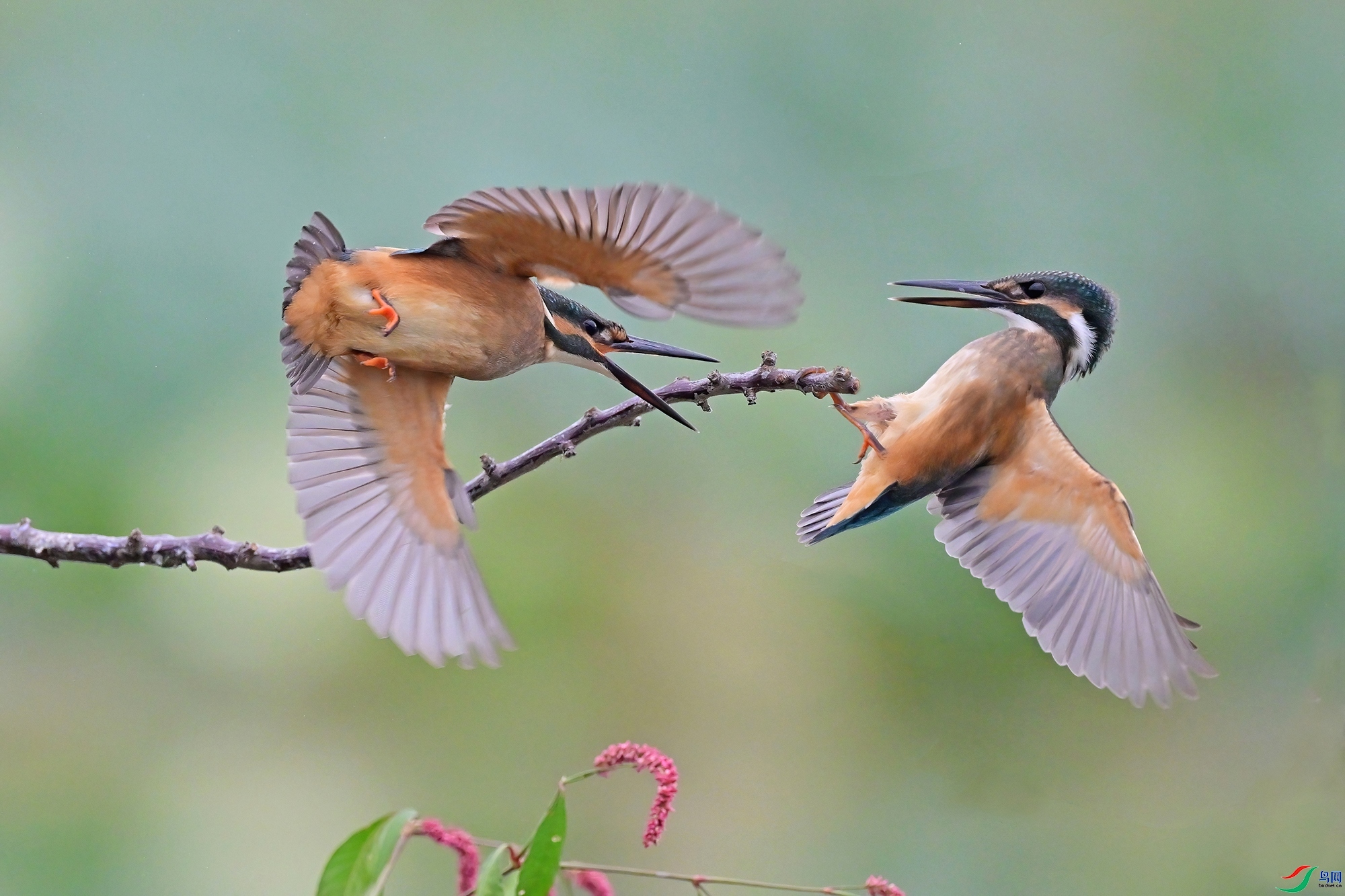 ���� ���� 0451x  �ܶ�.jpg