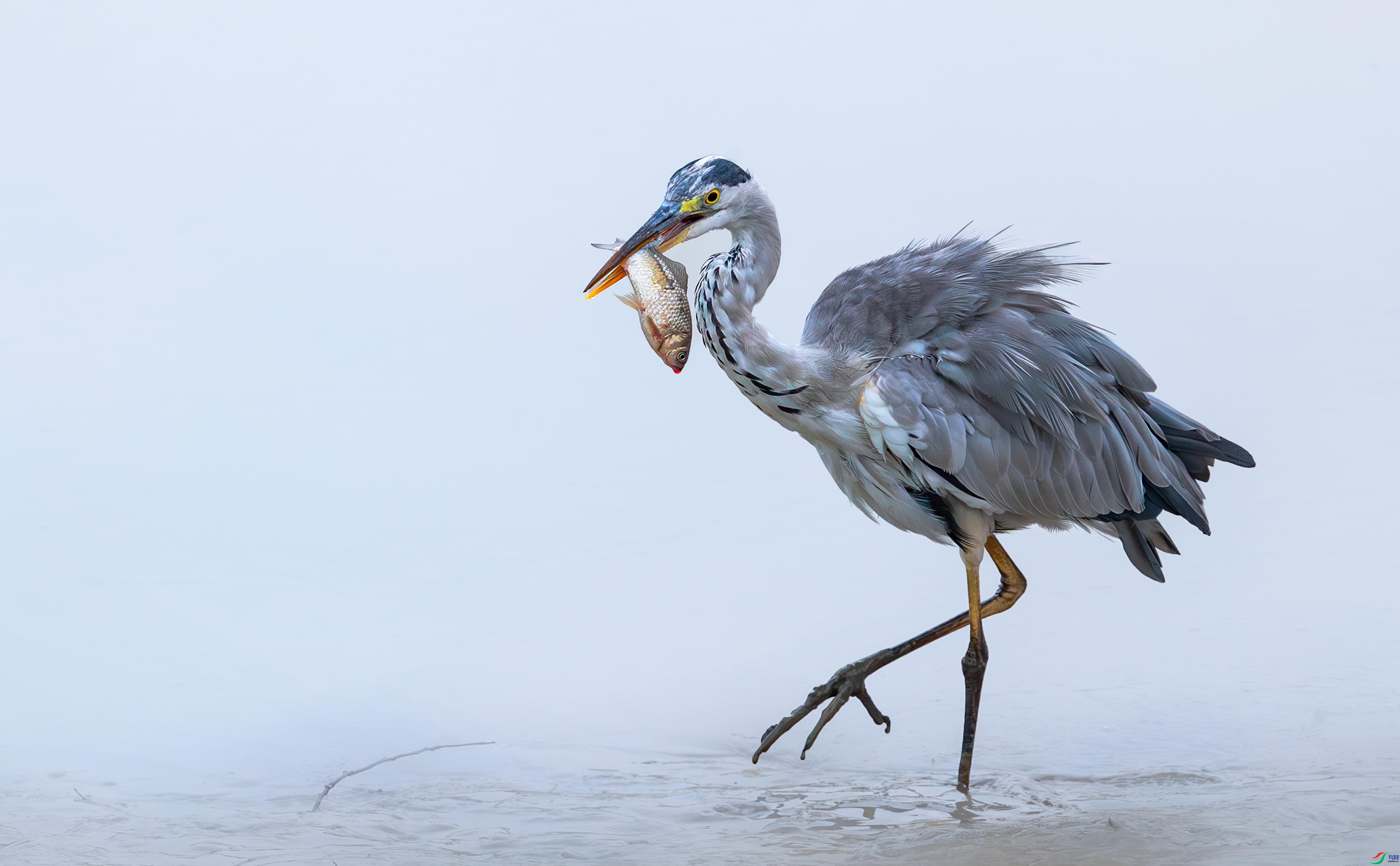 �ջ��ķ� ���� ���� �ܶ�.jpg