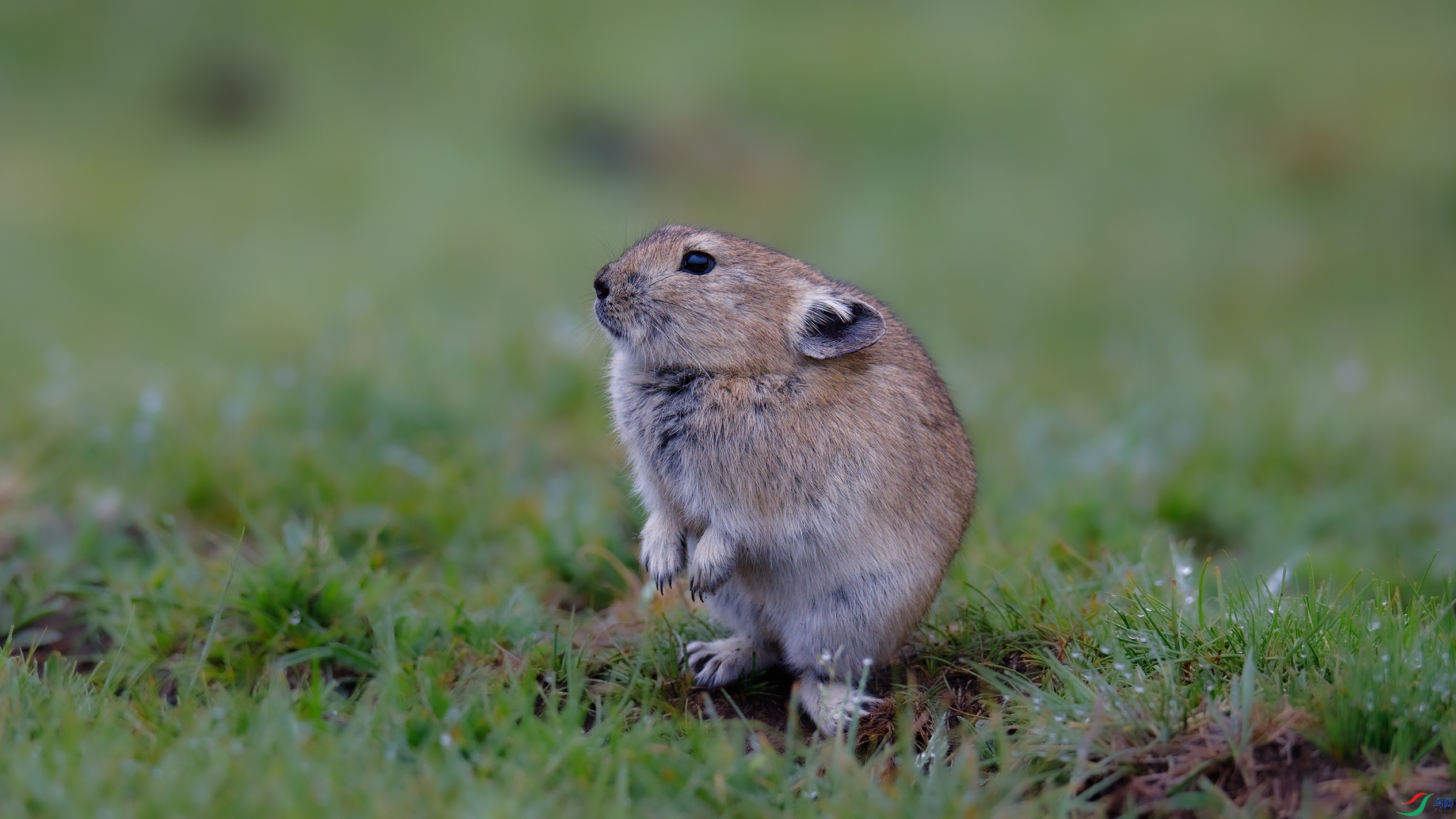 000A9845 ����7777.jpg