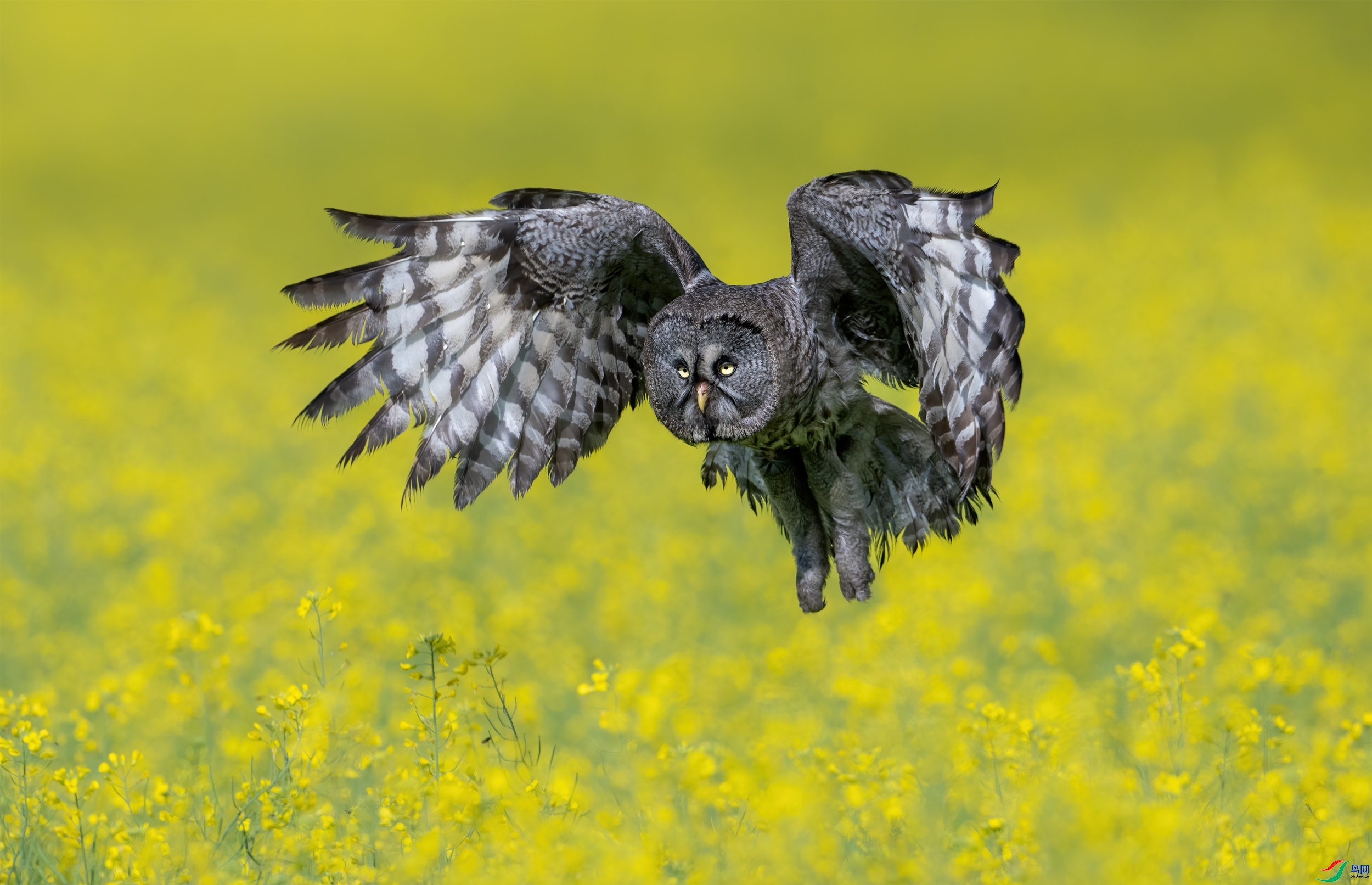 ӭ��չ�� ���� ��Ͽ֮�� �ܶ�.jpg