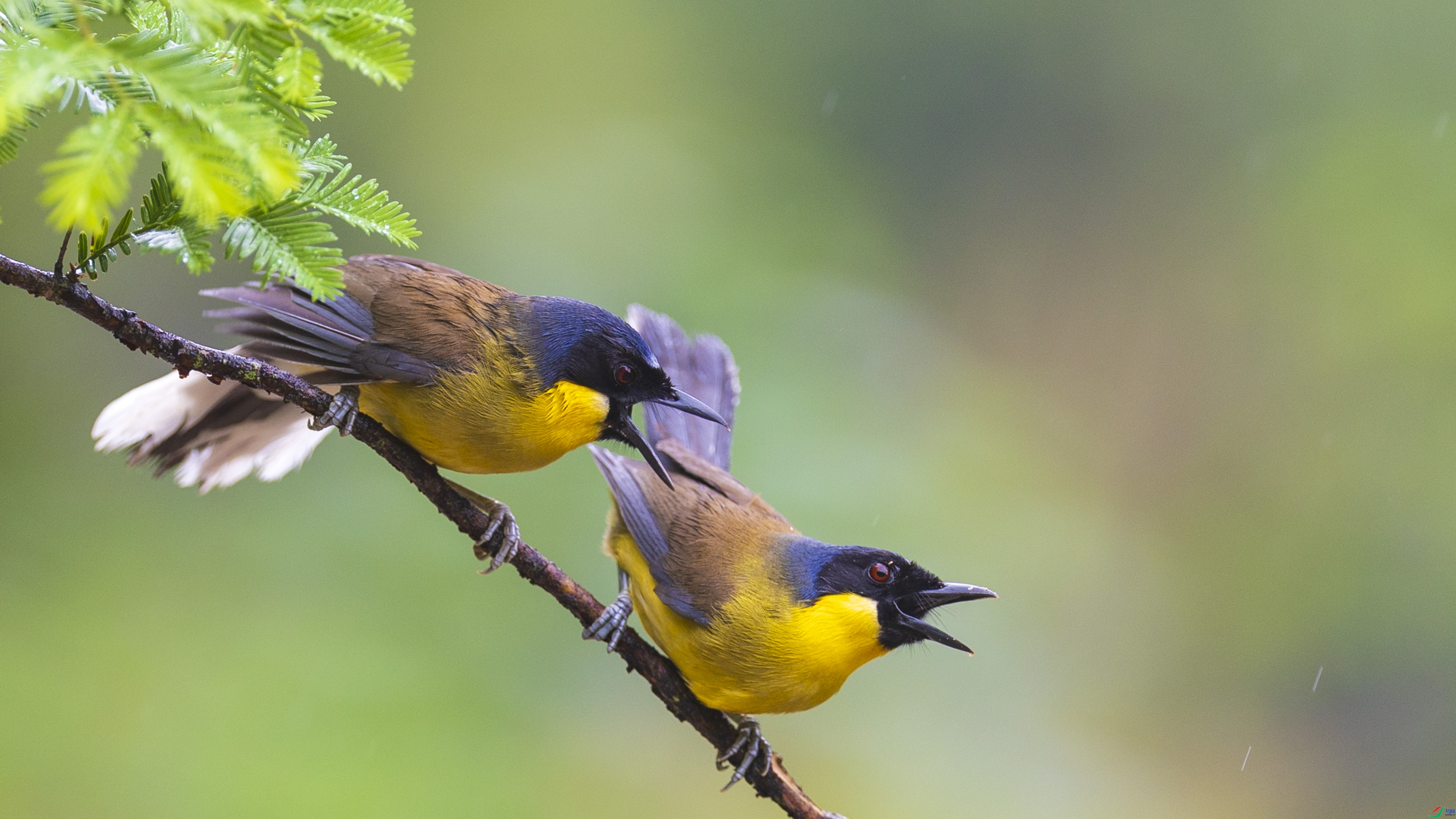 �������  ���� ������ ����.jpg