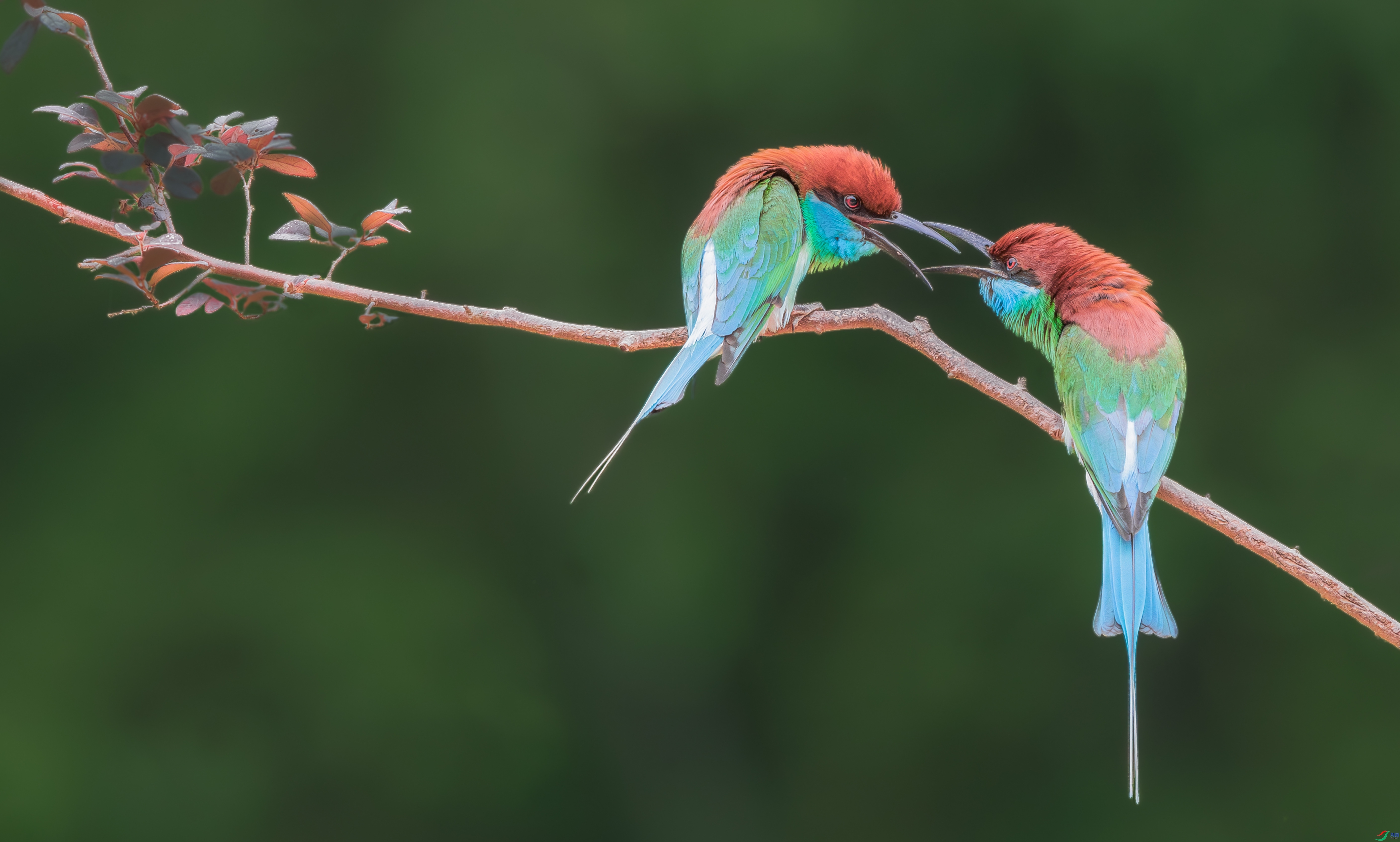 �������� ���� ���� ����.jpg