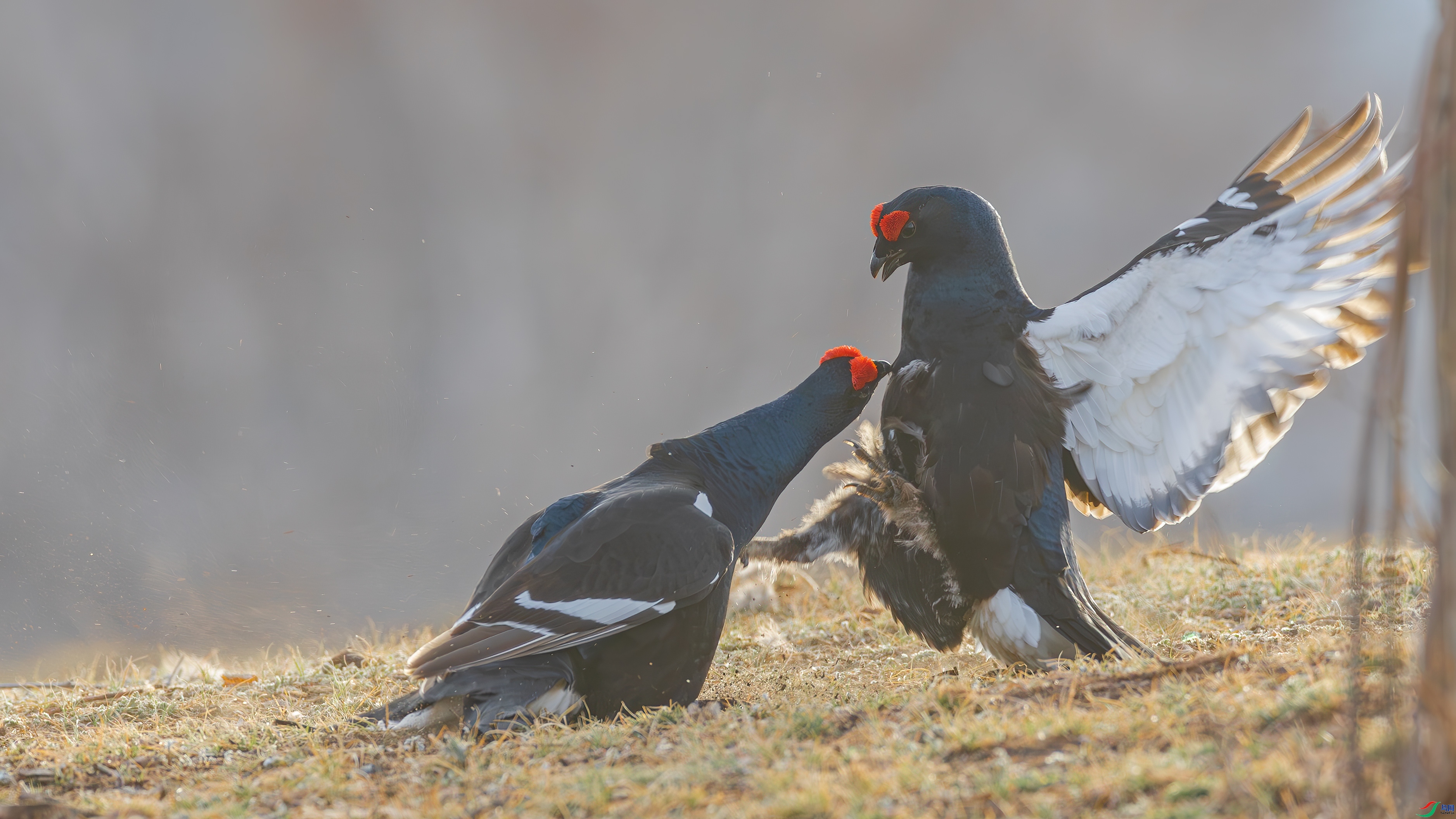 ˺ҧ ���� �䱾���� ����.jpg