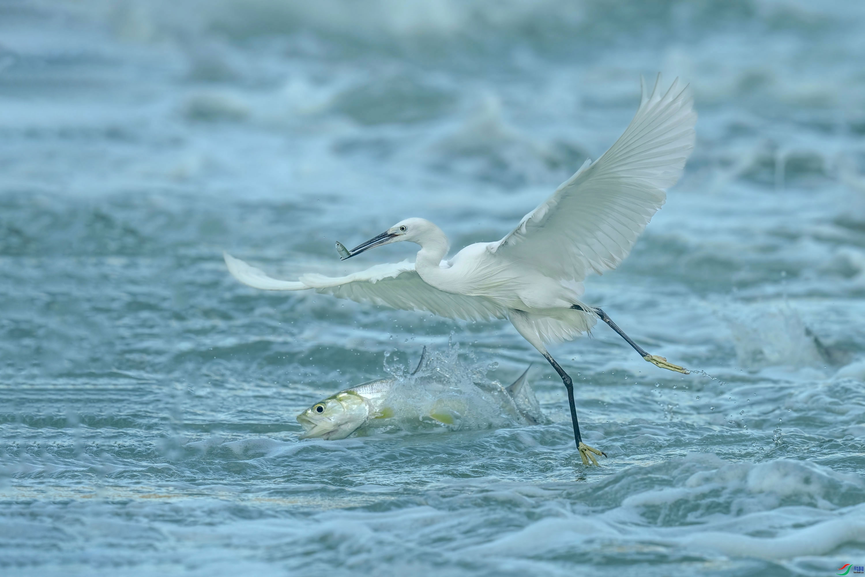 ����һ�� ���� ���� ����.jpg