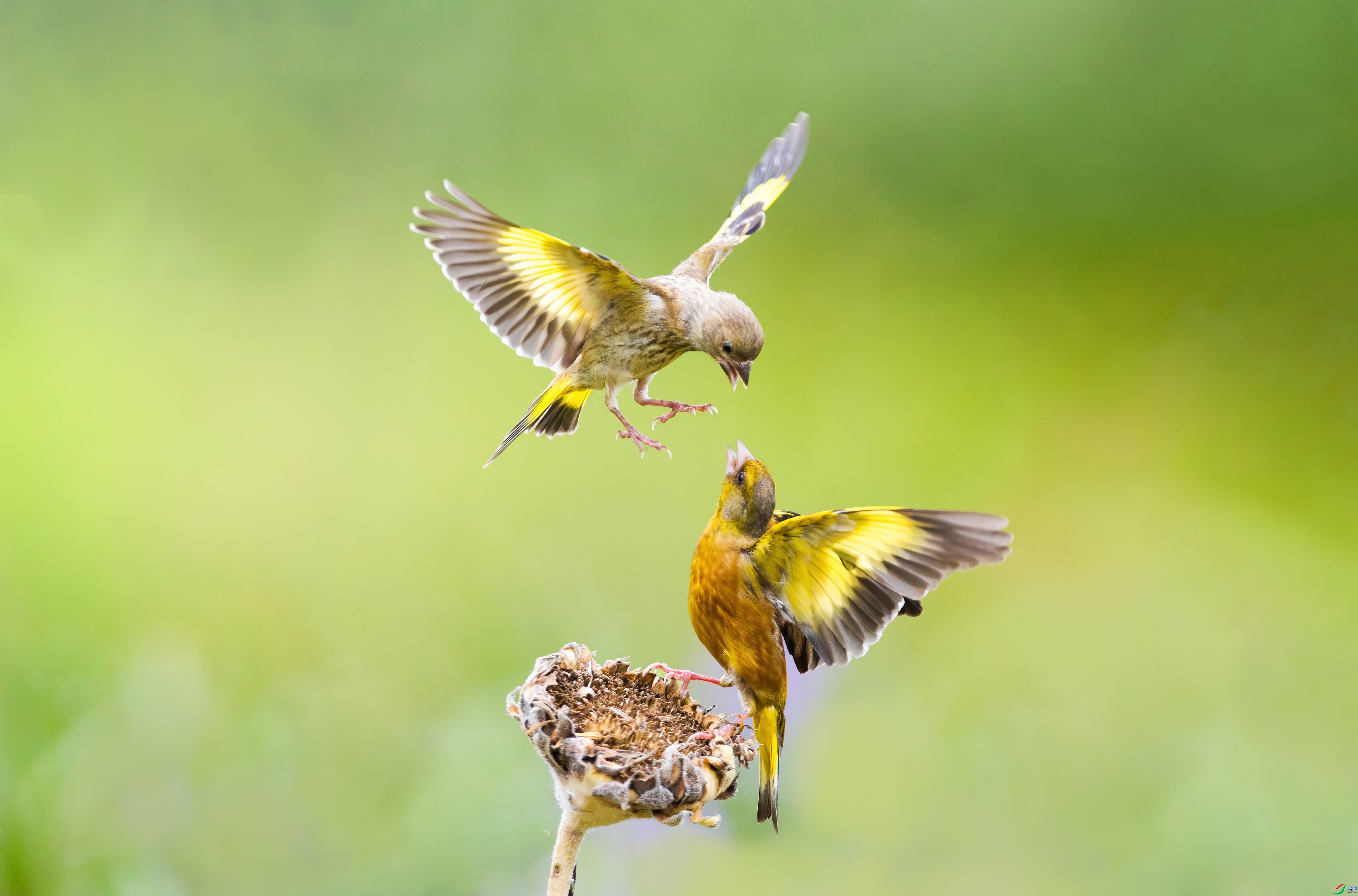 �Ӹ����� ���� С���� ����.jpg