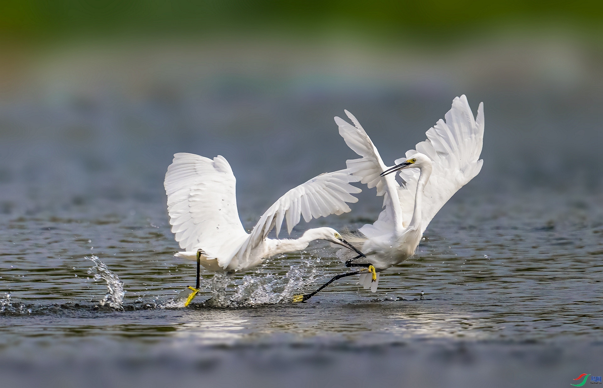 ˮ�ж� ���� ������ ����.jpg