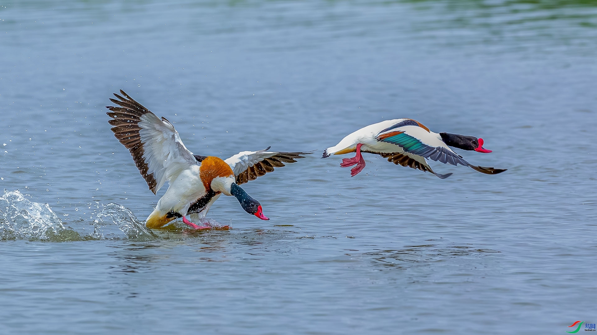 ���� ���� ɳ���Խ� ����.jpg