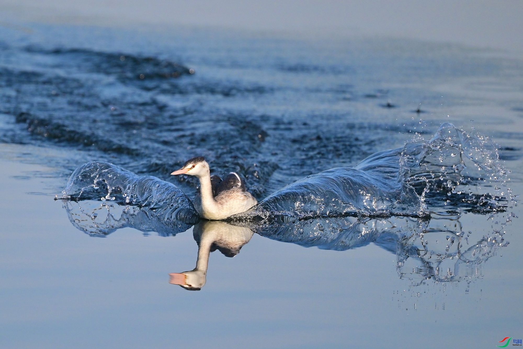 ˮ֮��  ���� 0451x ����.jpg