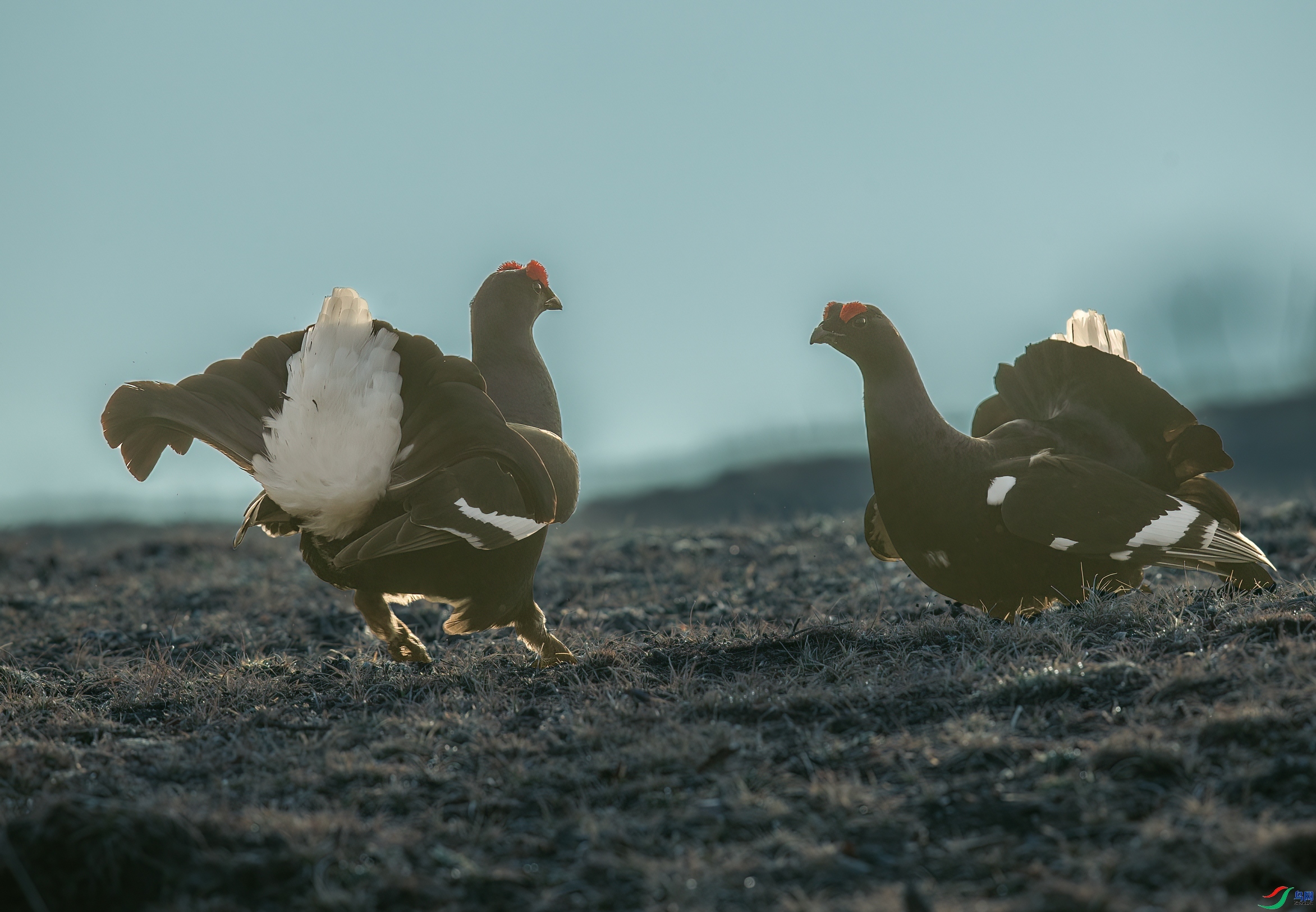 ���ټ�-�µ�һ�� ���� һ·���� ����.jpg