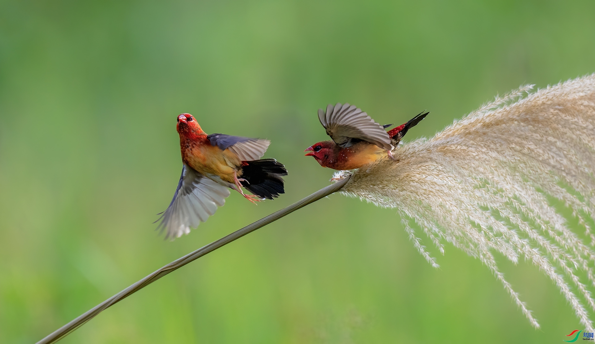 ���� ���� �������� ����.jpg