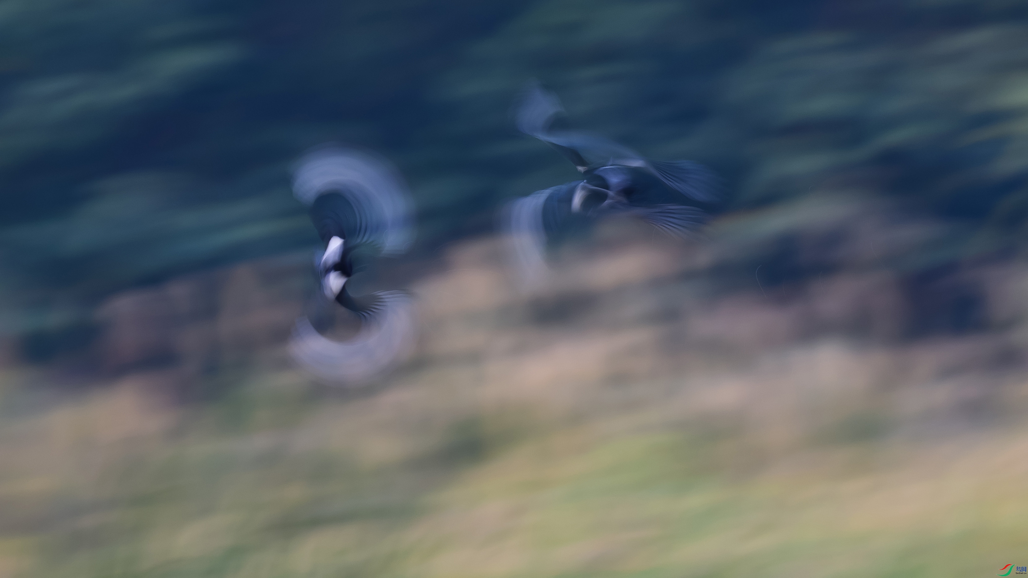 DSC_4750 ���� 2.jpg