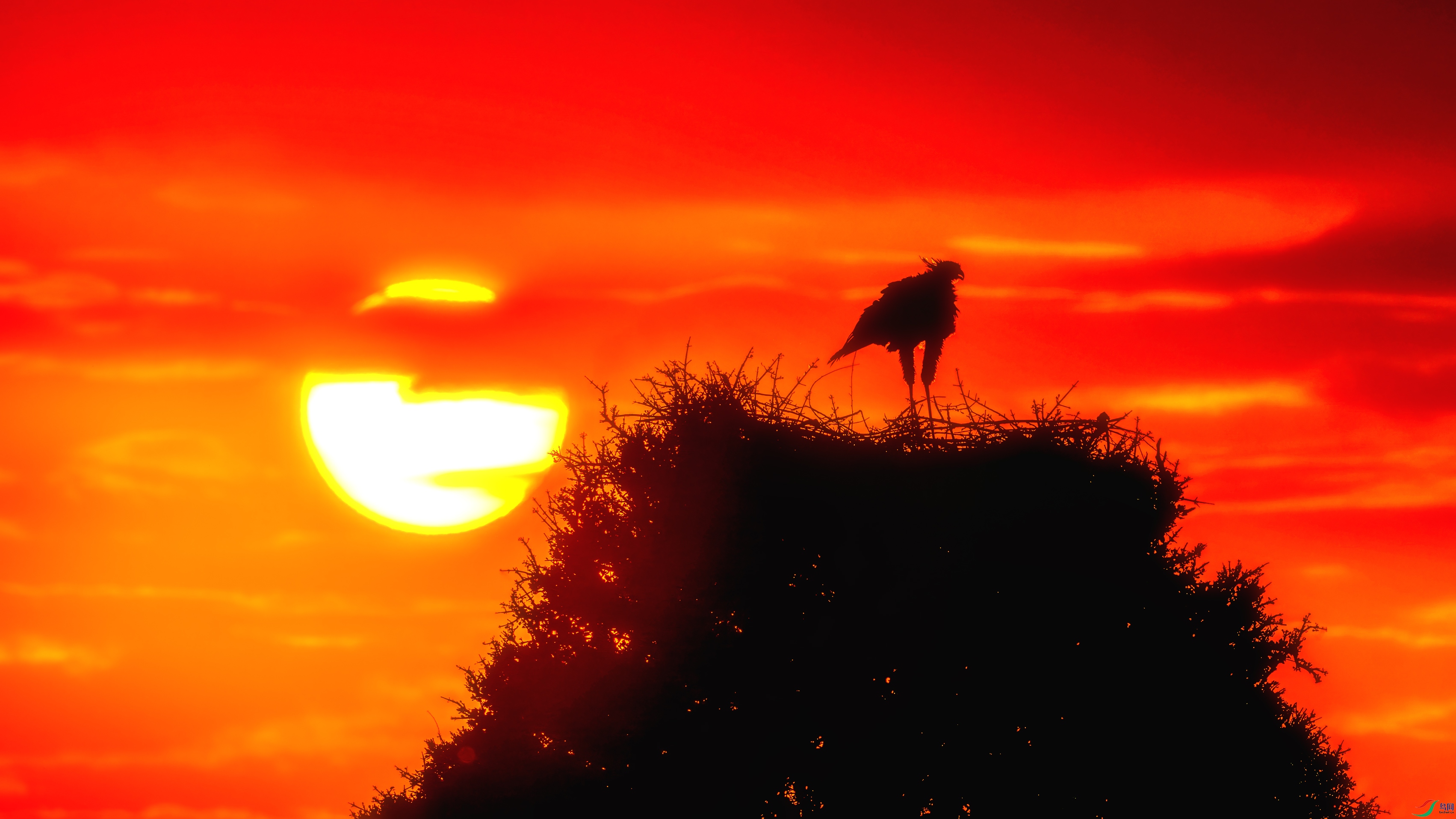 _DSC7362-����ǿ-NR-1 ����.jpg