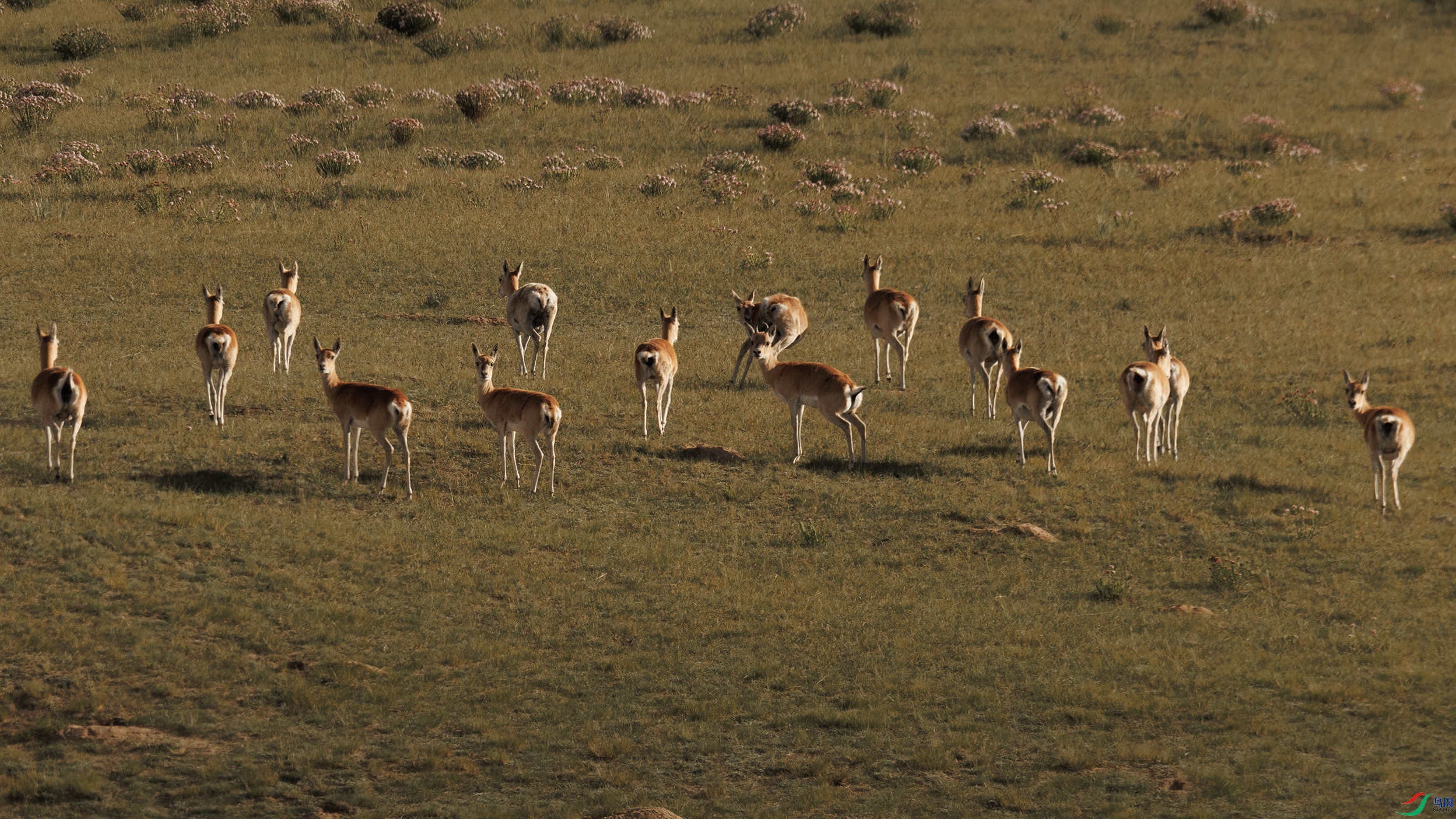 7X5A9518 ����7777.jpg