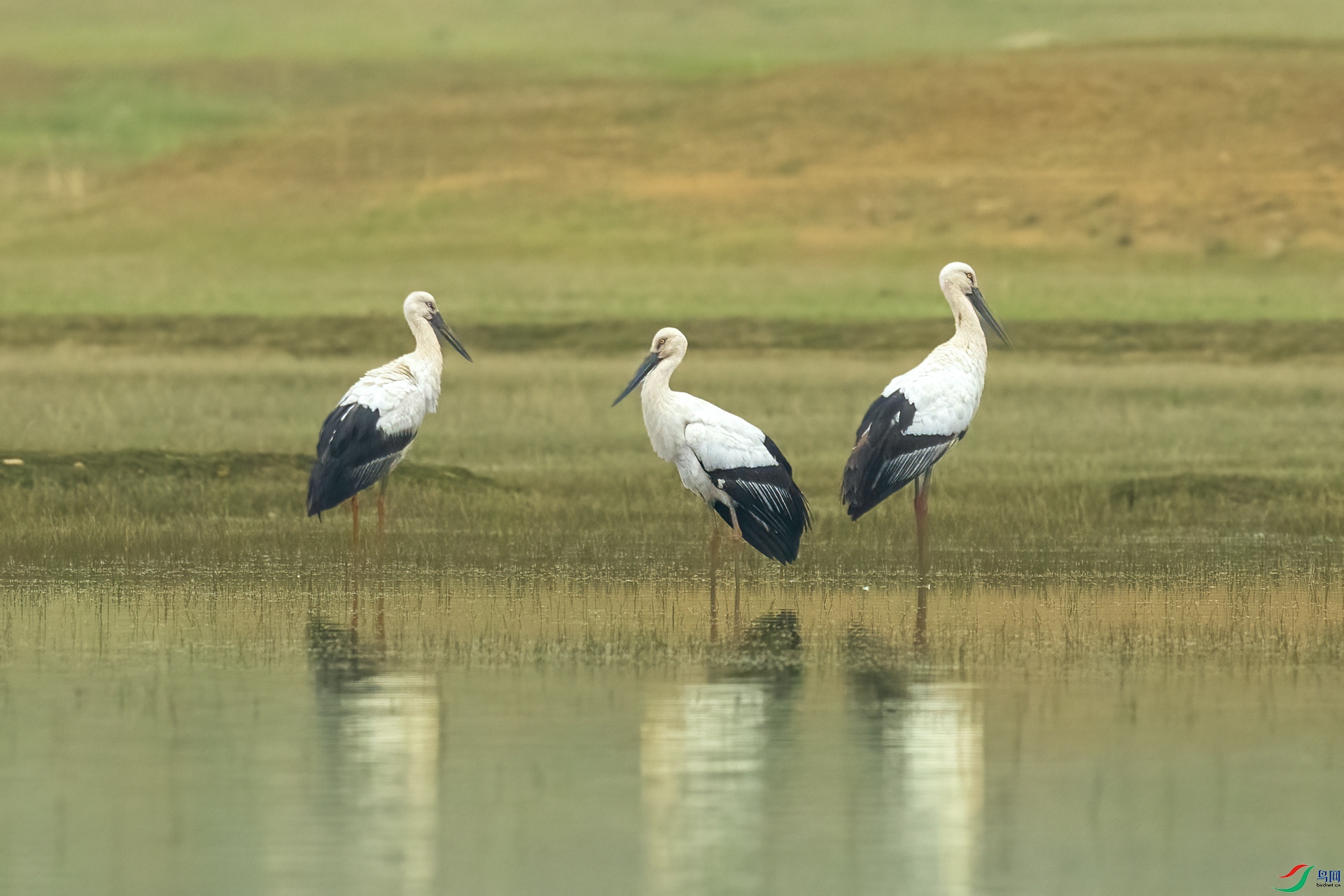 B86I8623 _����.jpg