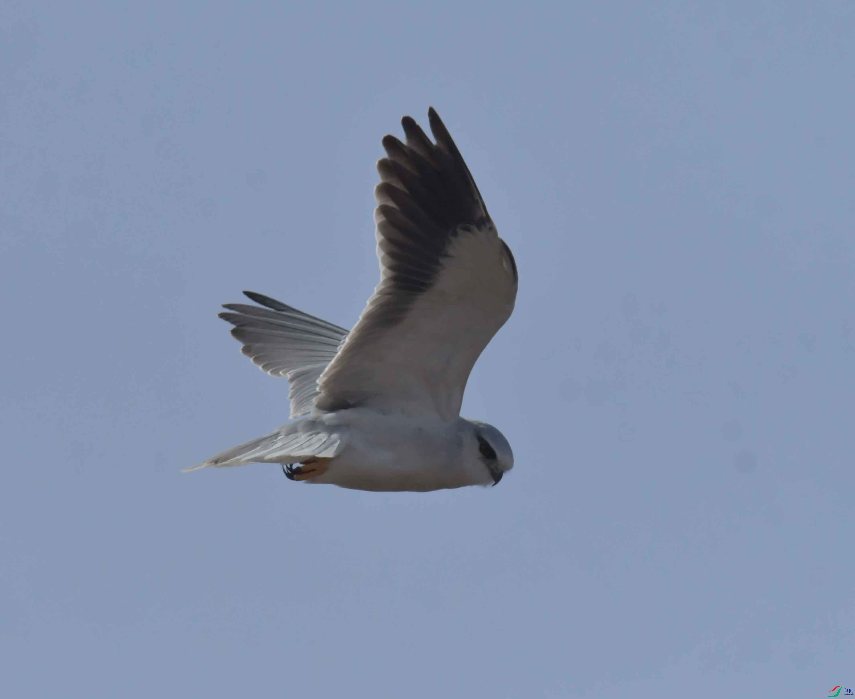 DSC_3811.JPG
