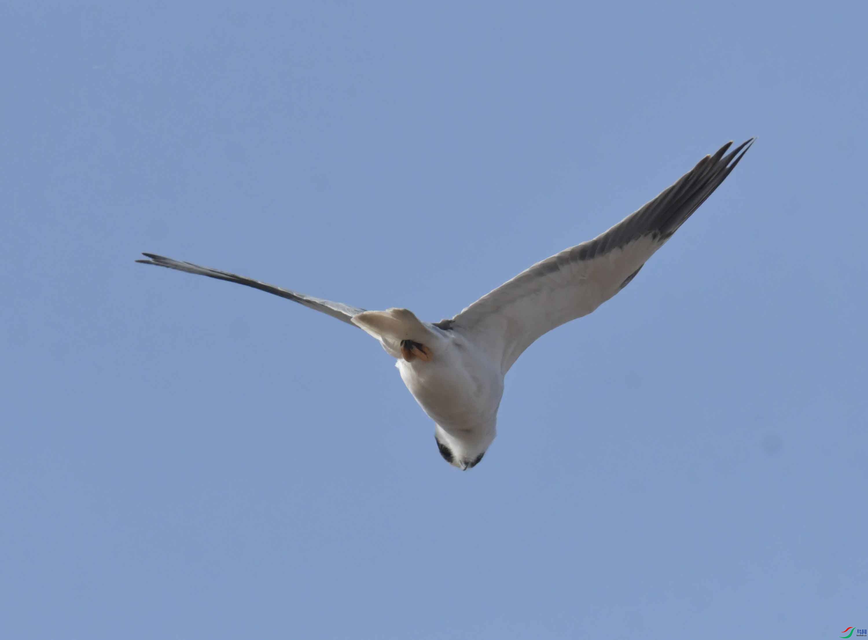 DSC_3805.JPG