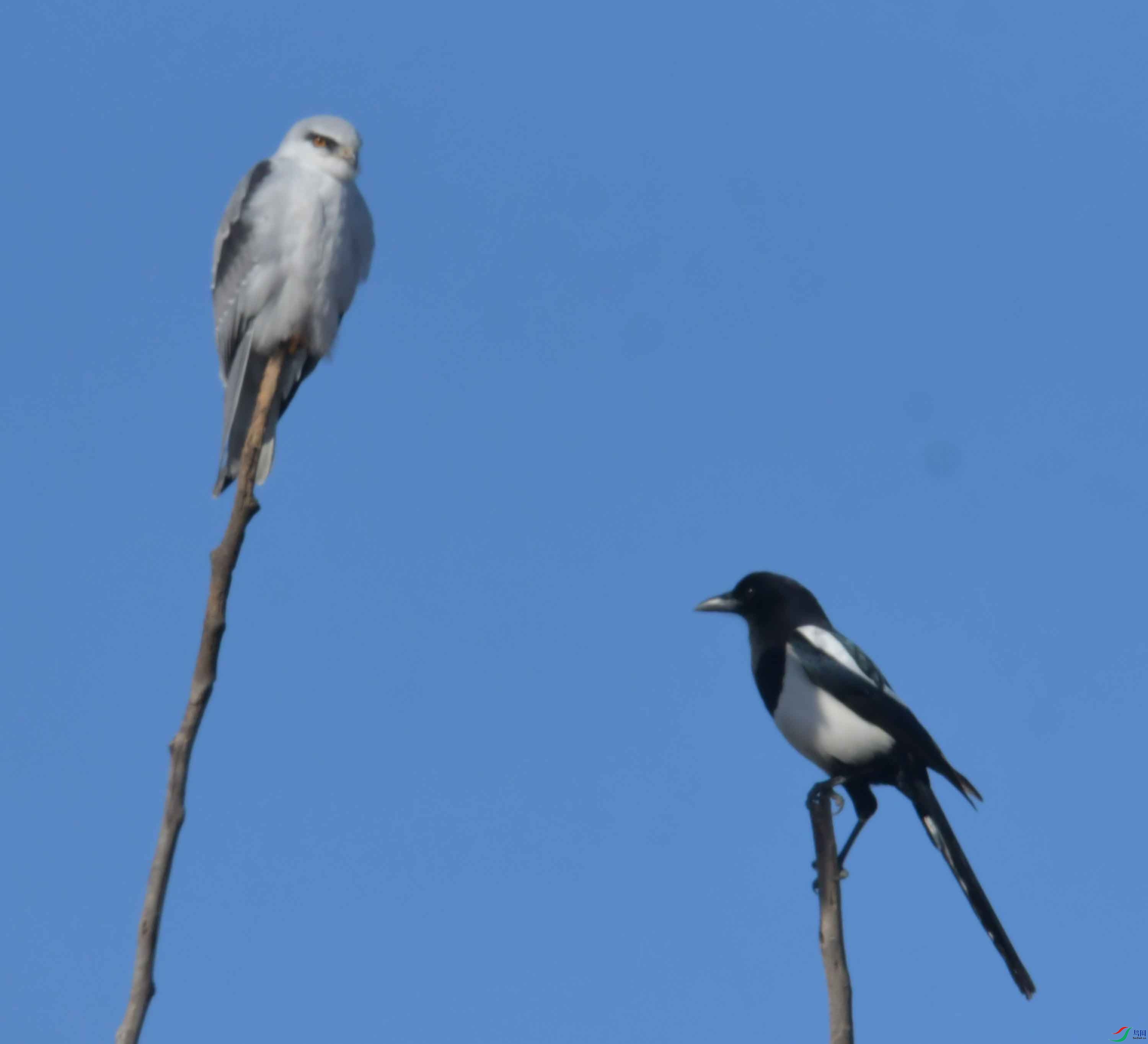 DSC_4323.JPG