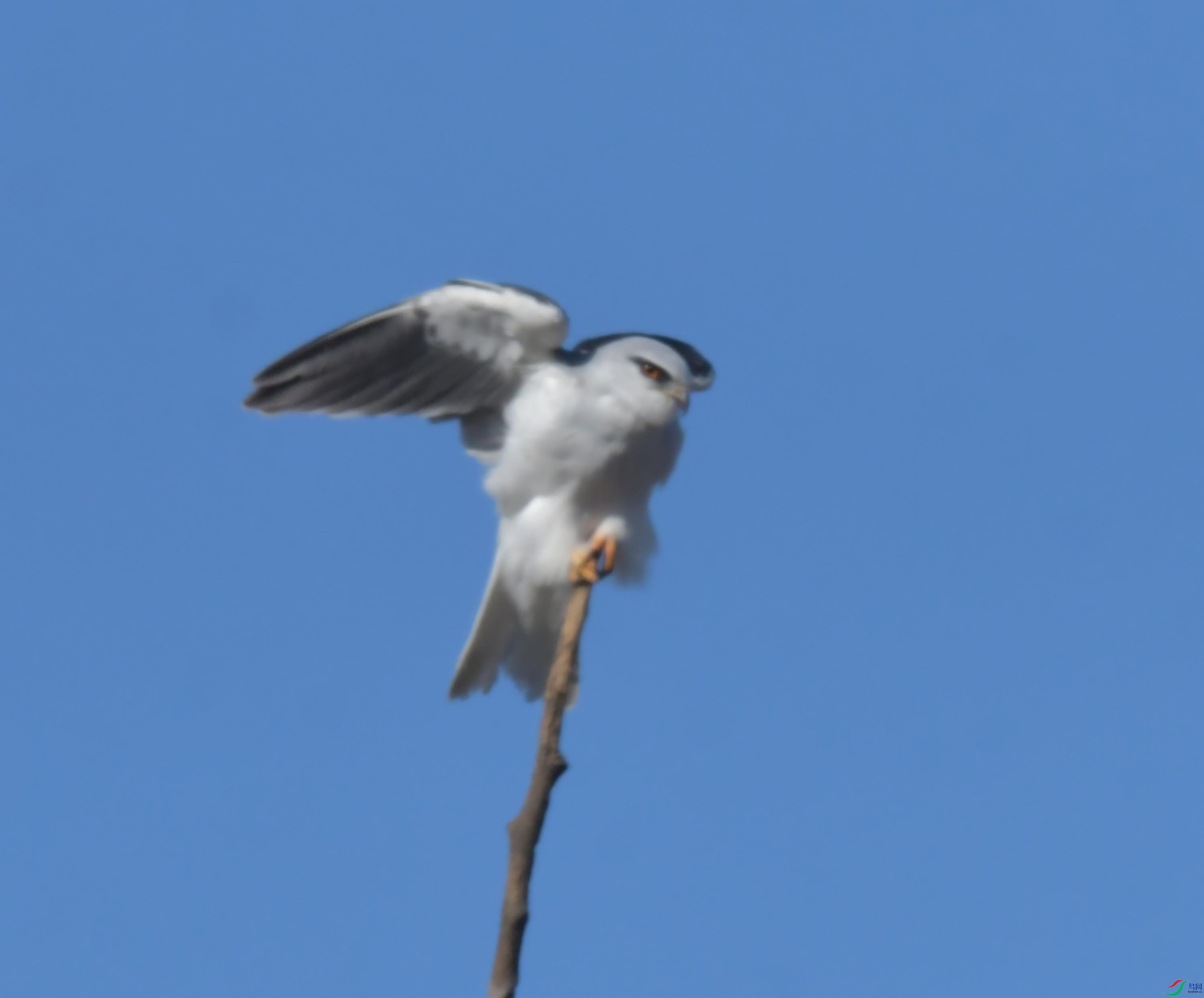 DSC_4369.JPG
