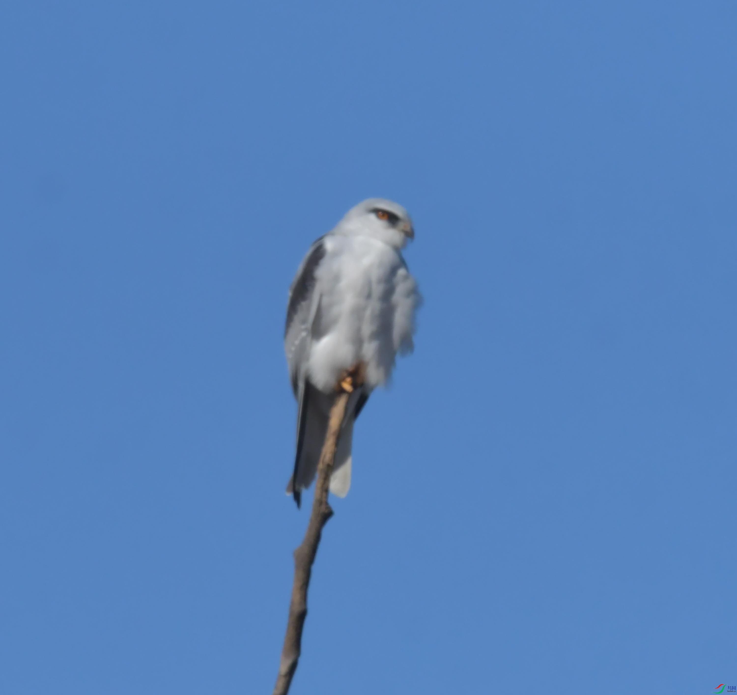 DSC_4370.JPG