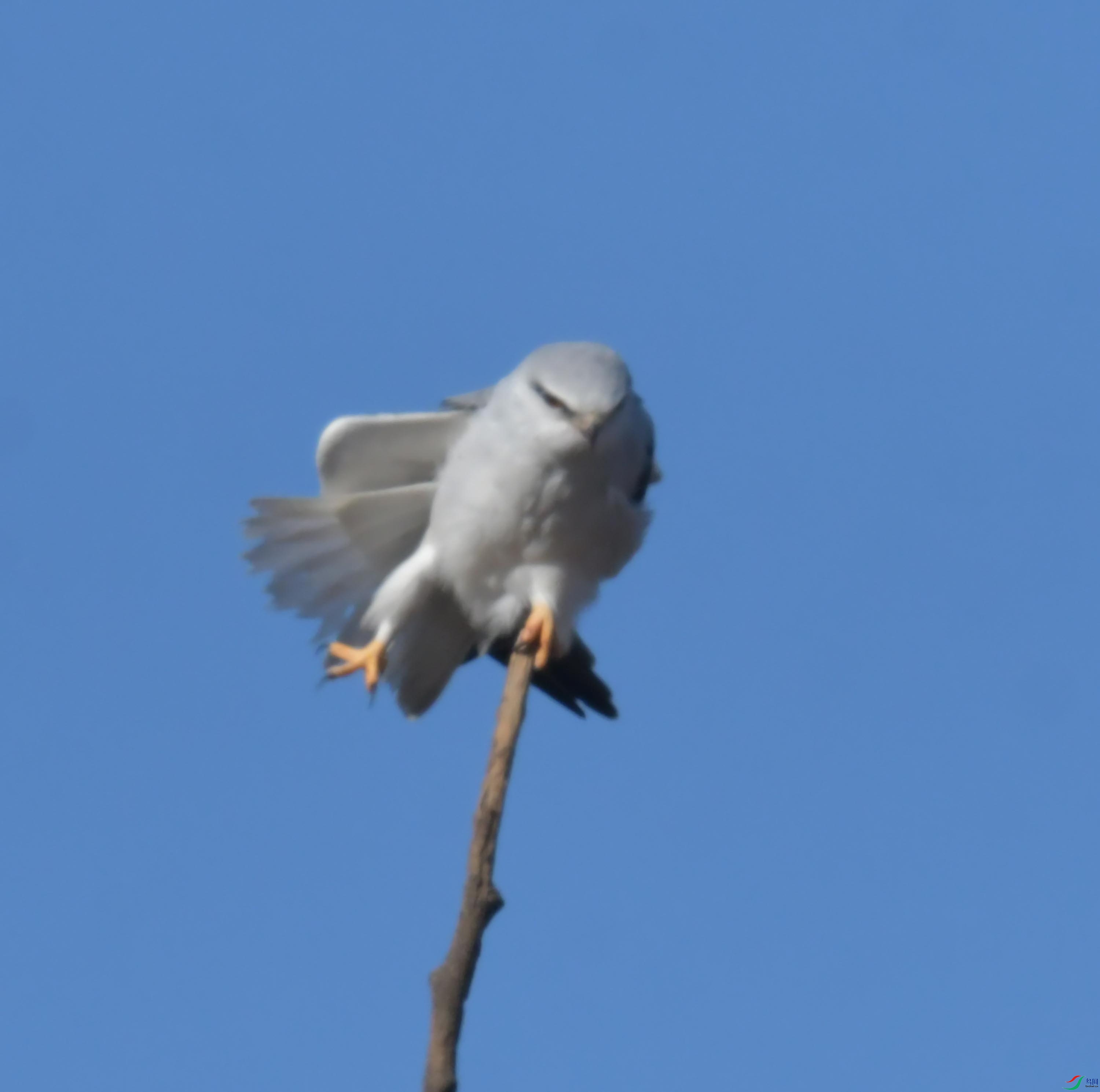 DSC_4396.JPG