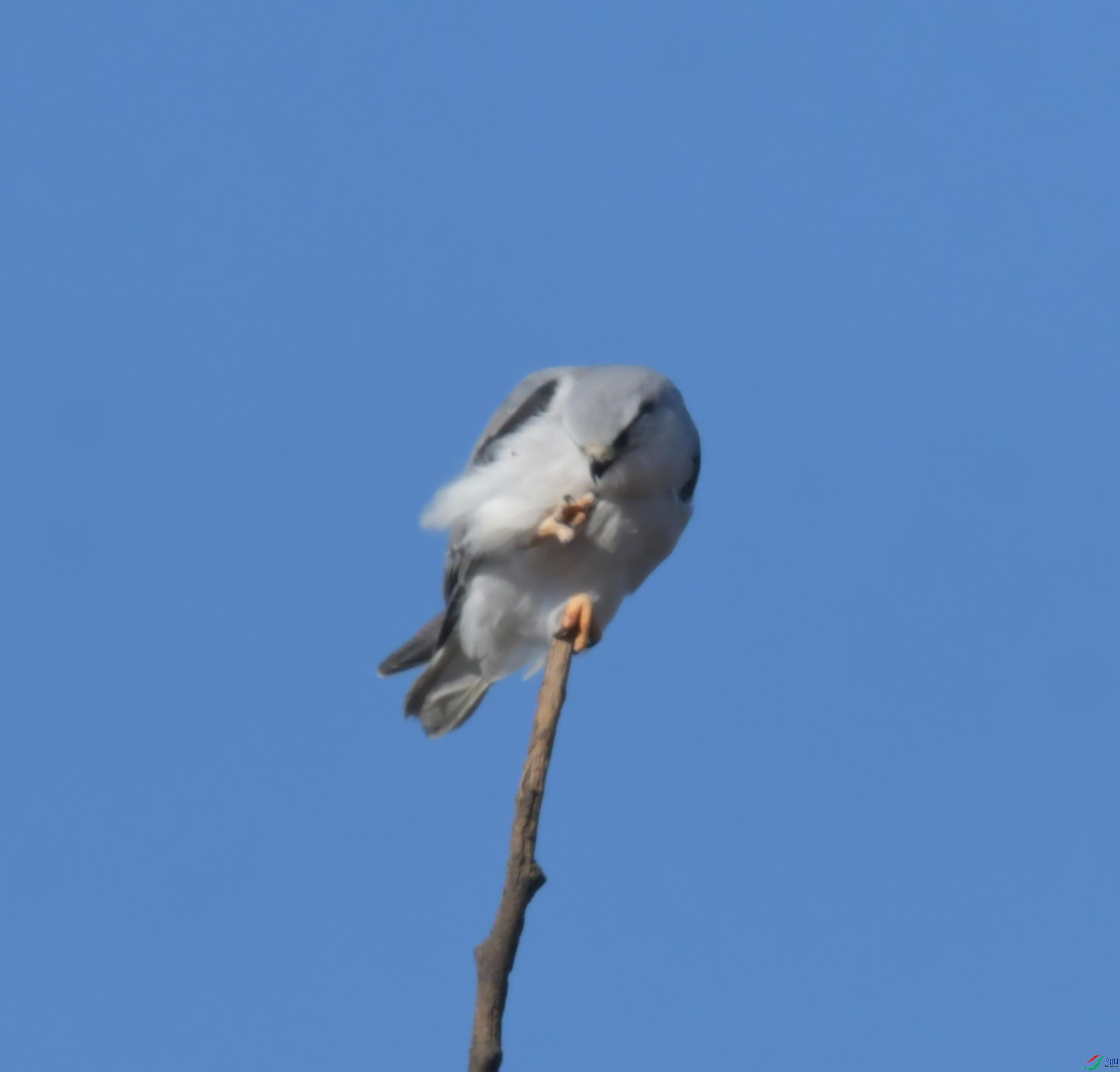 DSC_4391.JPG