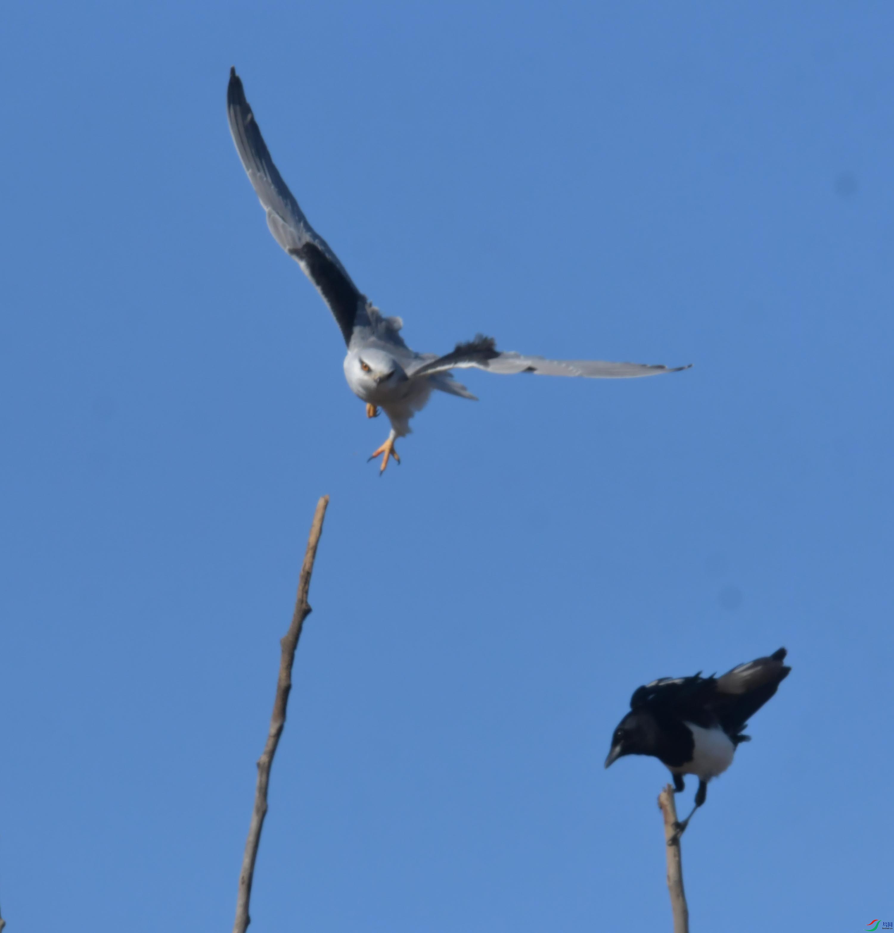 DSC_4416.JPG