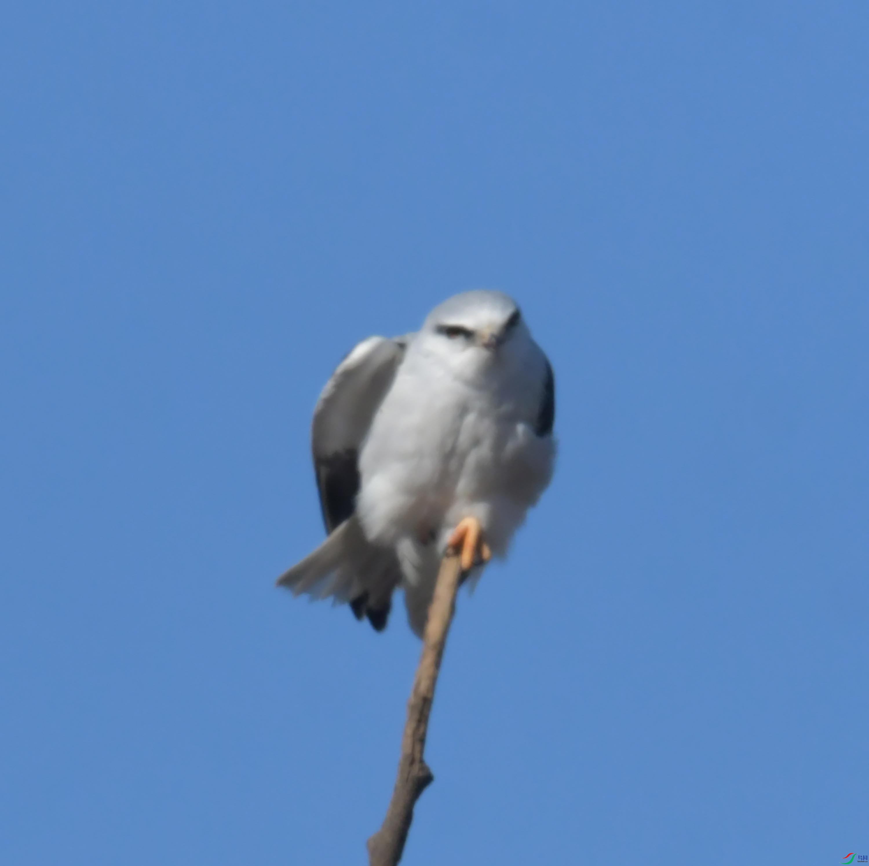 DSC_4405.JPG