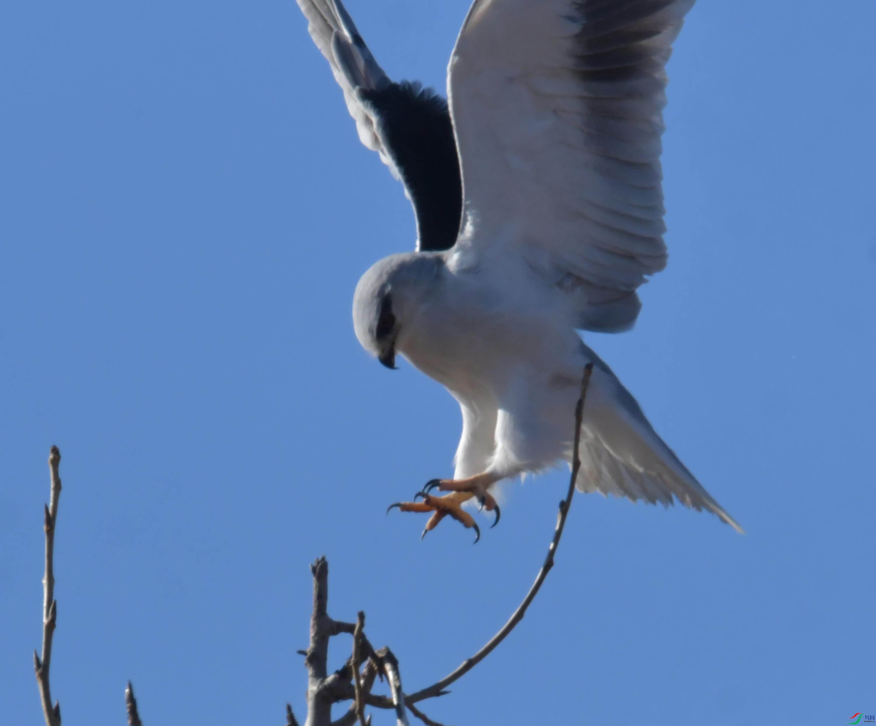 DSC_4419.JPG