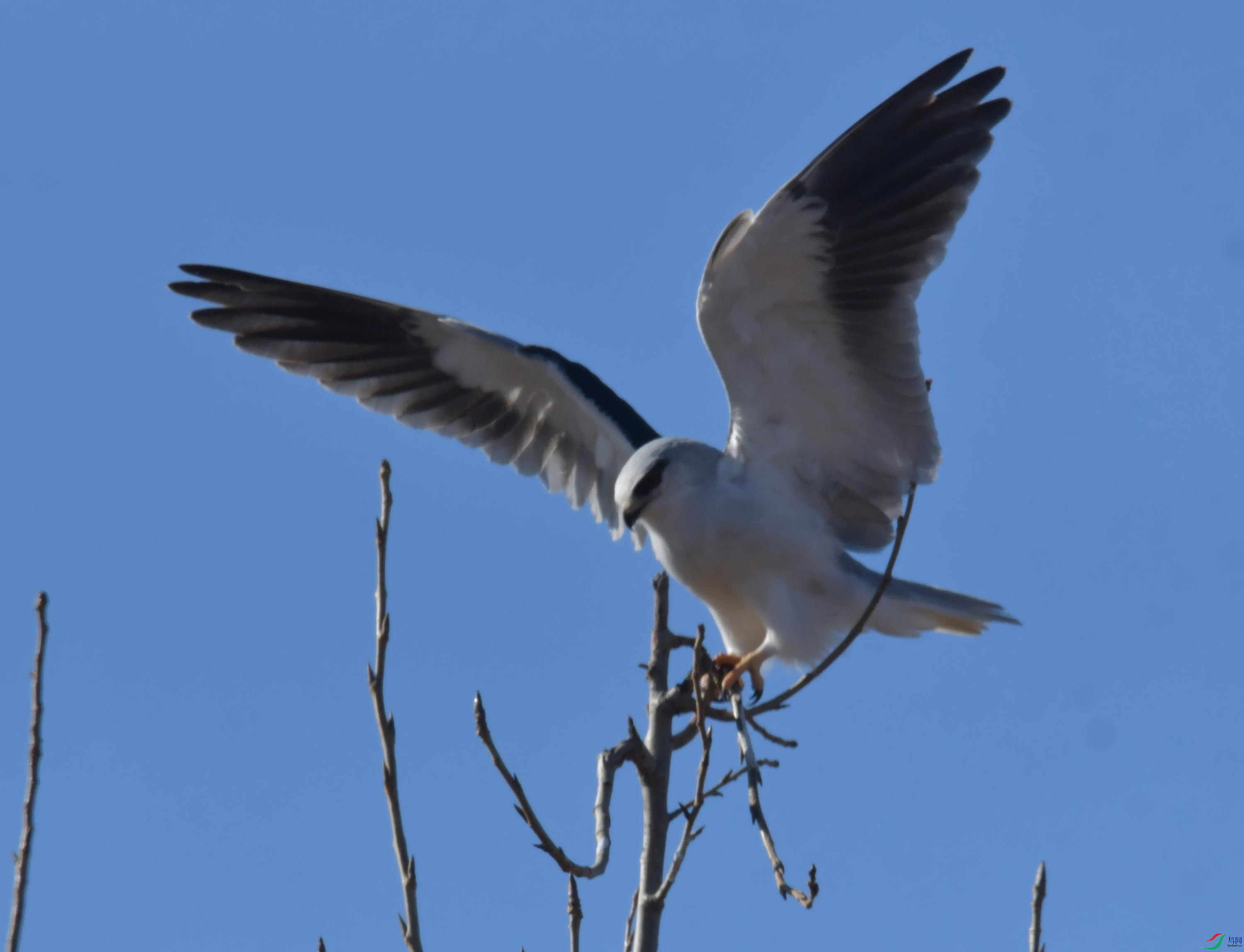 DSC_4421.JPG