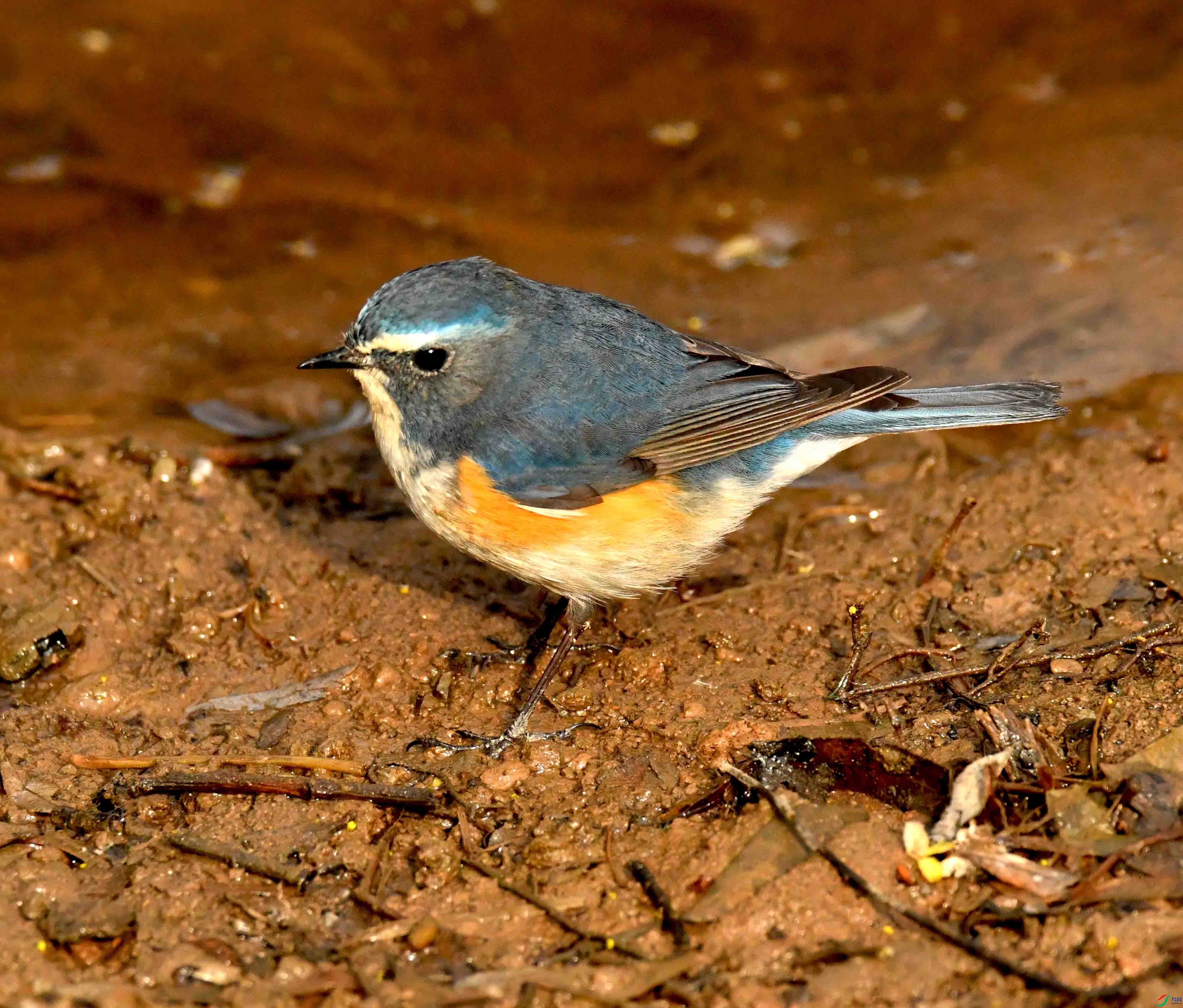 DSC_1668.JPG