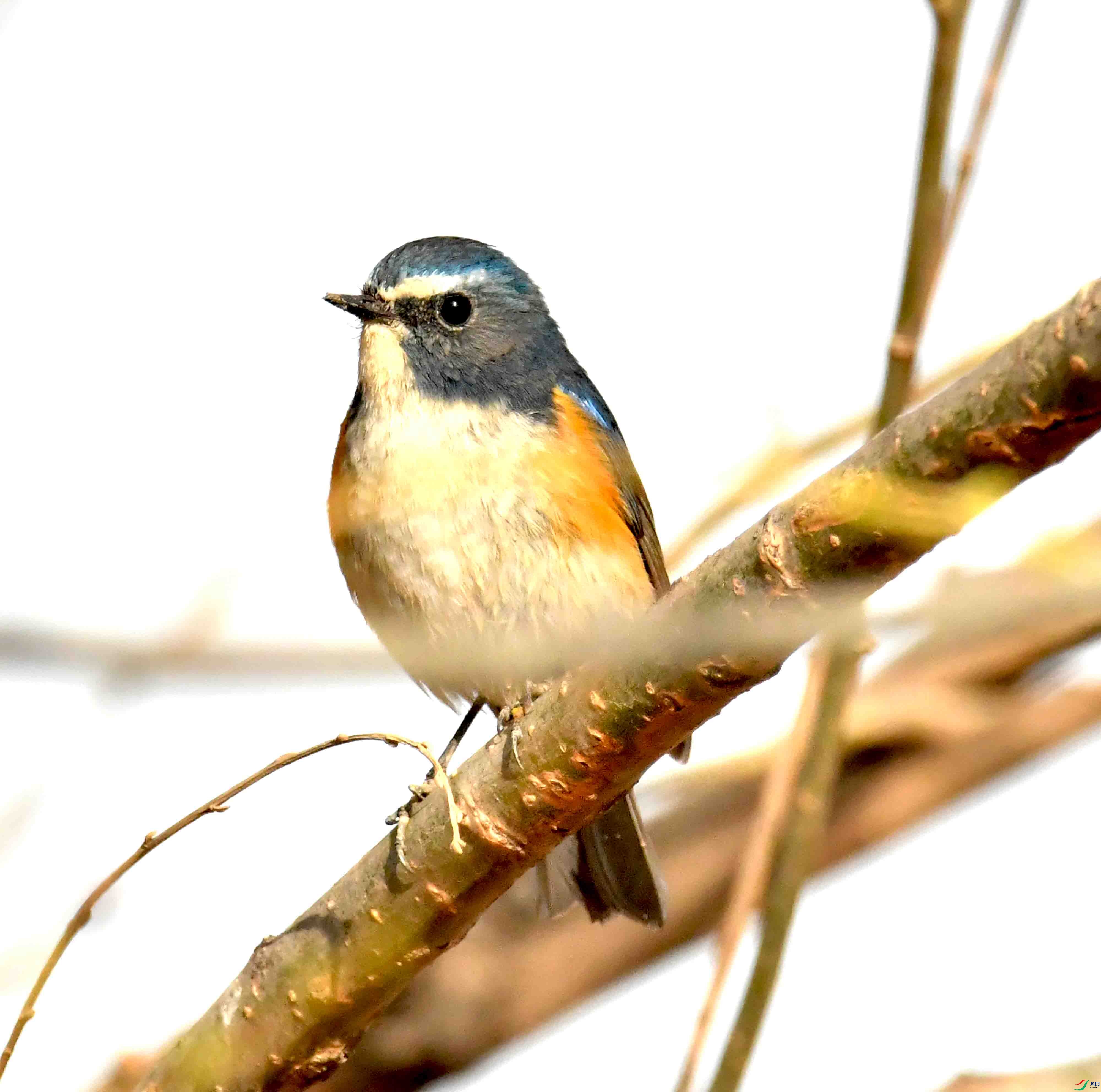 DSC_1754.JPG