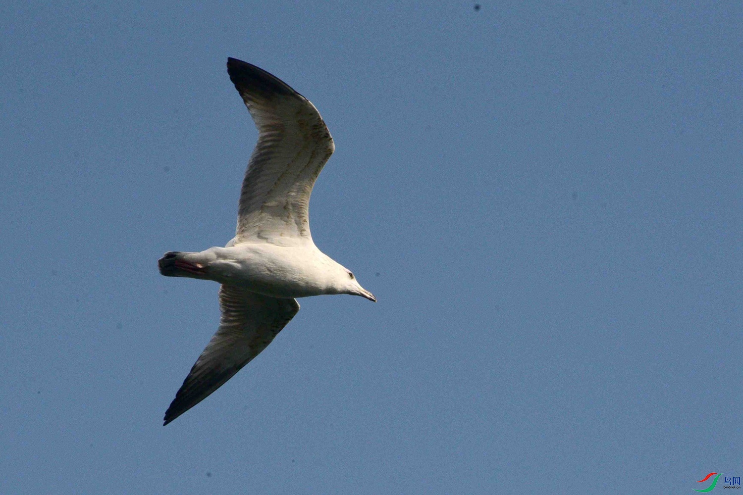 DSC_1991.JPG