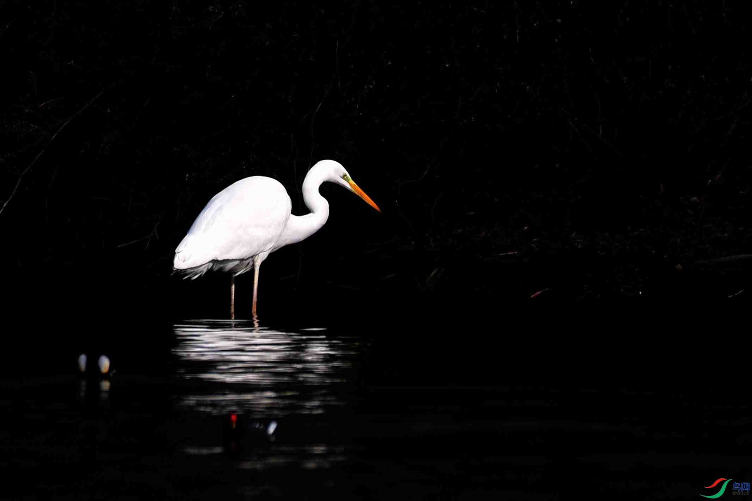 DSC_2050.JPG