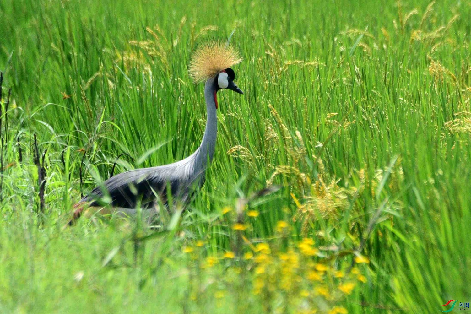 DSC_5164.JPG