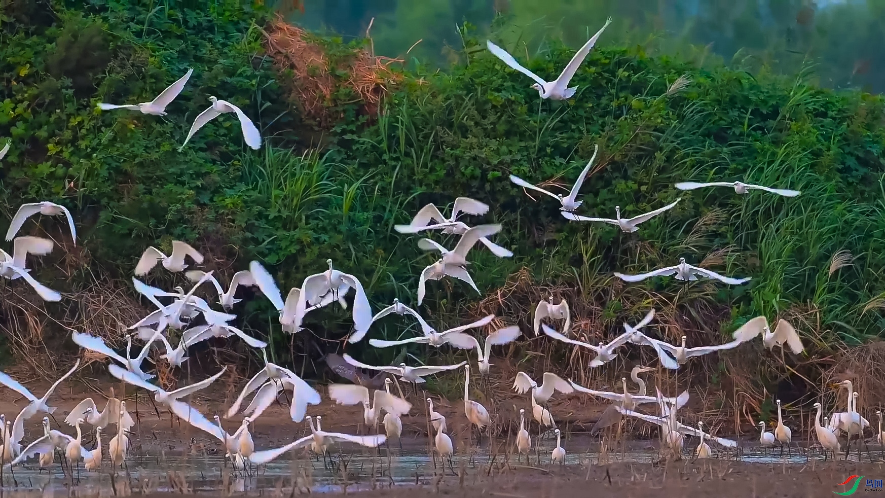 ��ף���й�����75���� ͼƬ.jpg