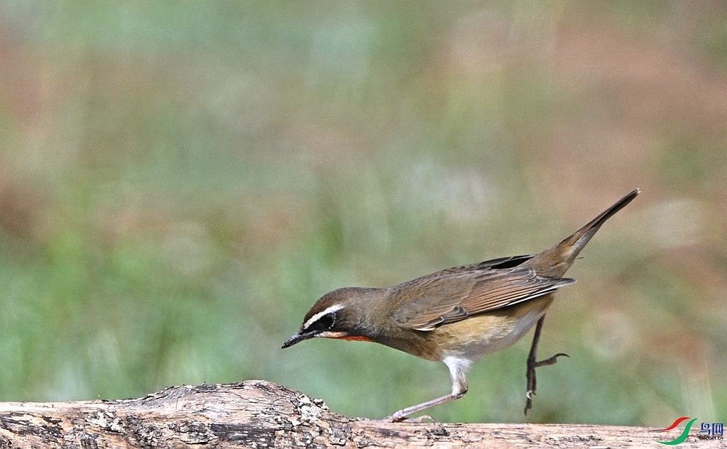 DSC_9094.JPG
