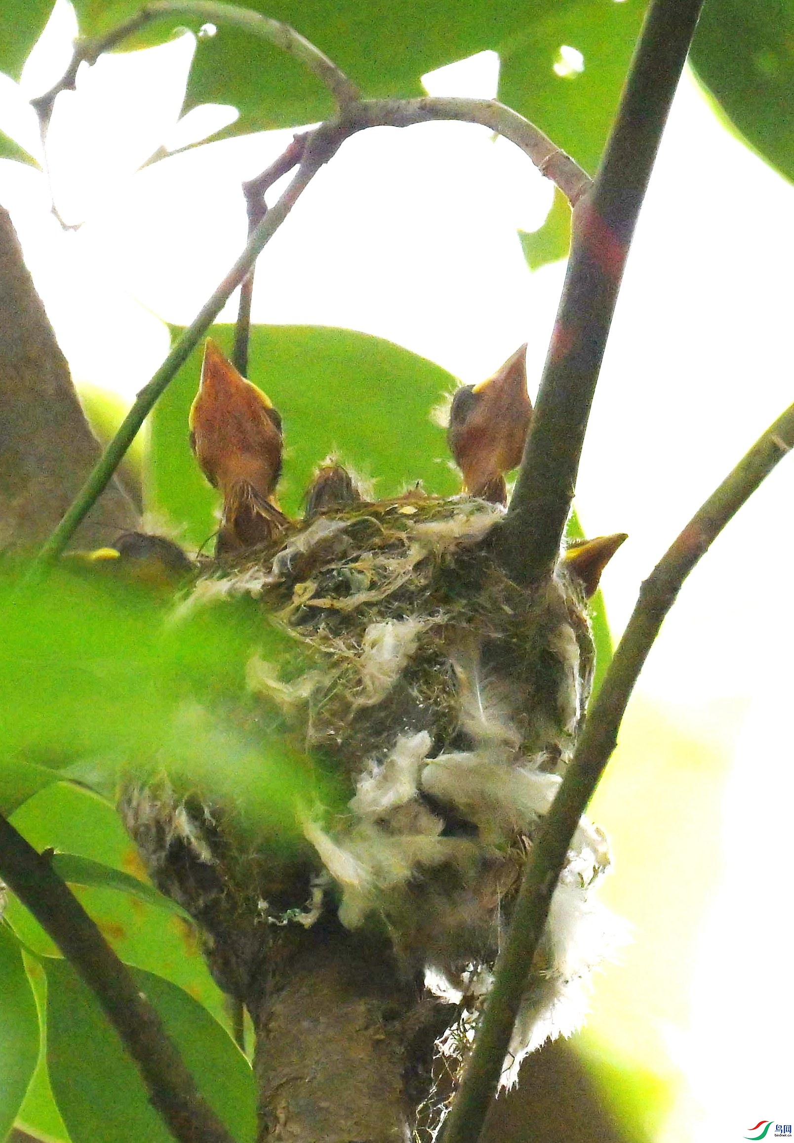 DSC_3802.jpg