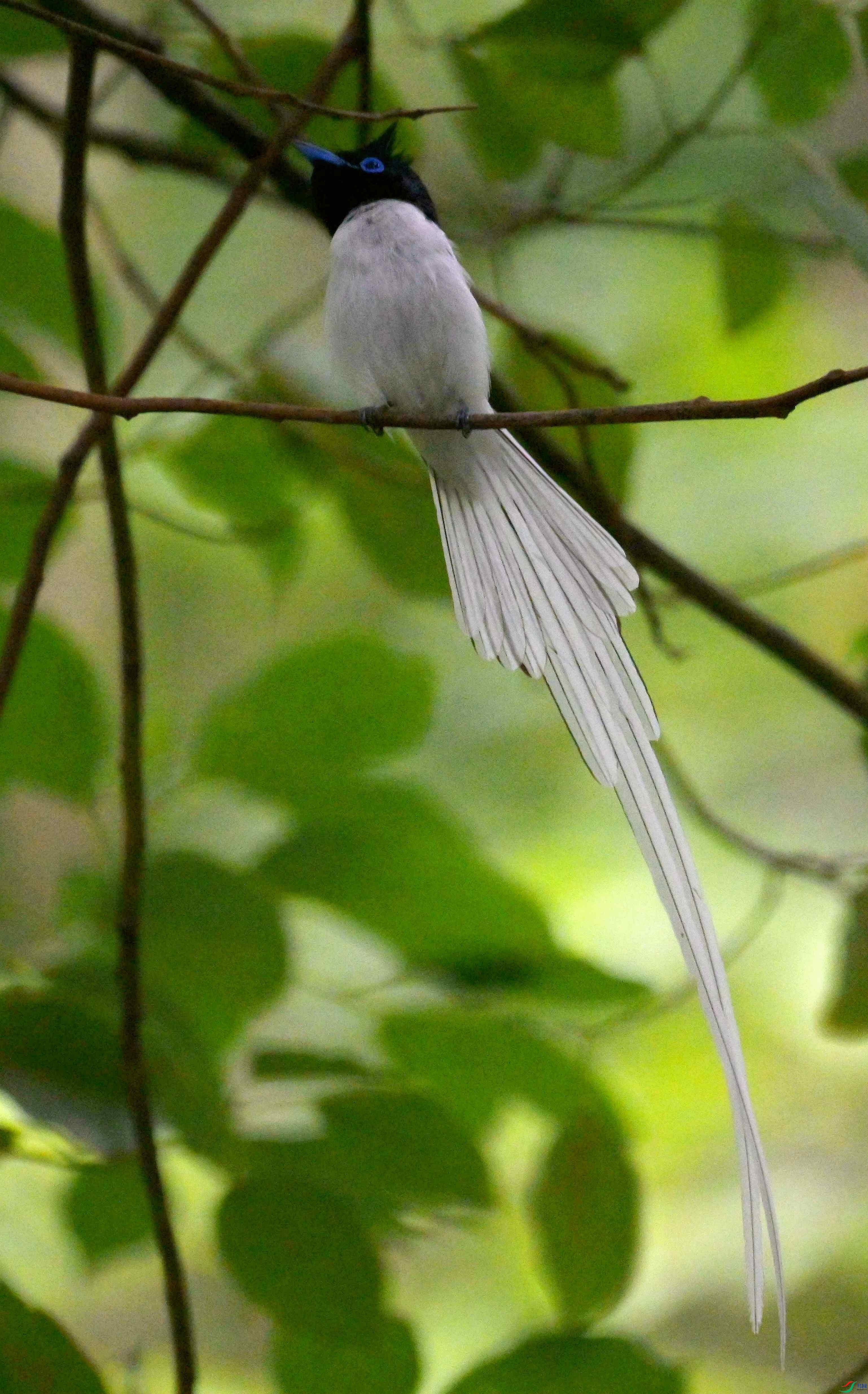 DSC_9493.jpg