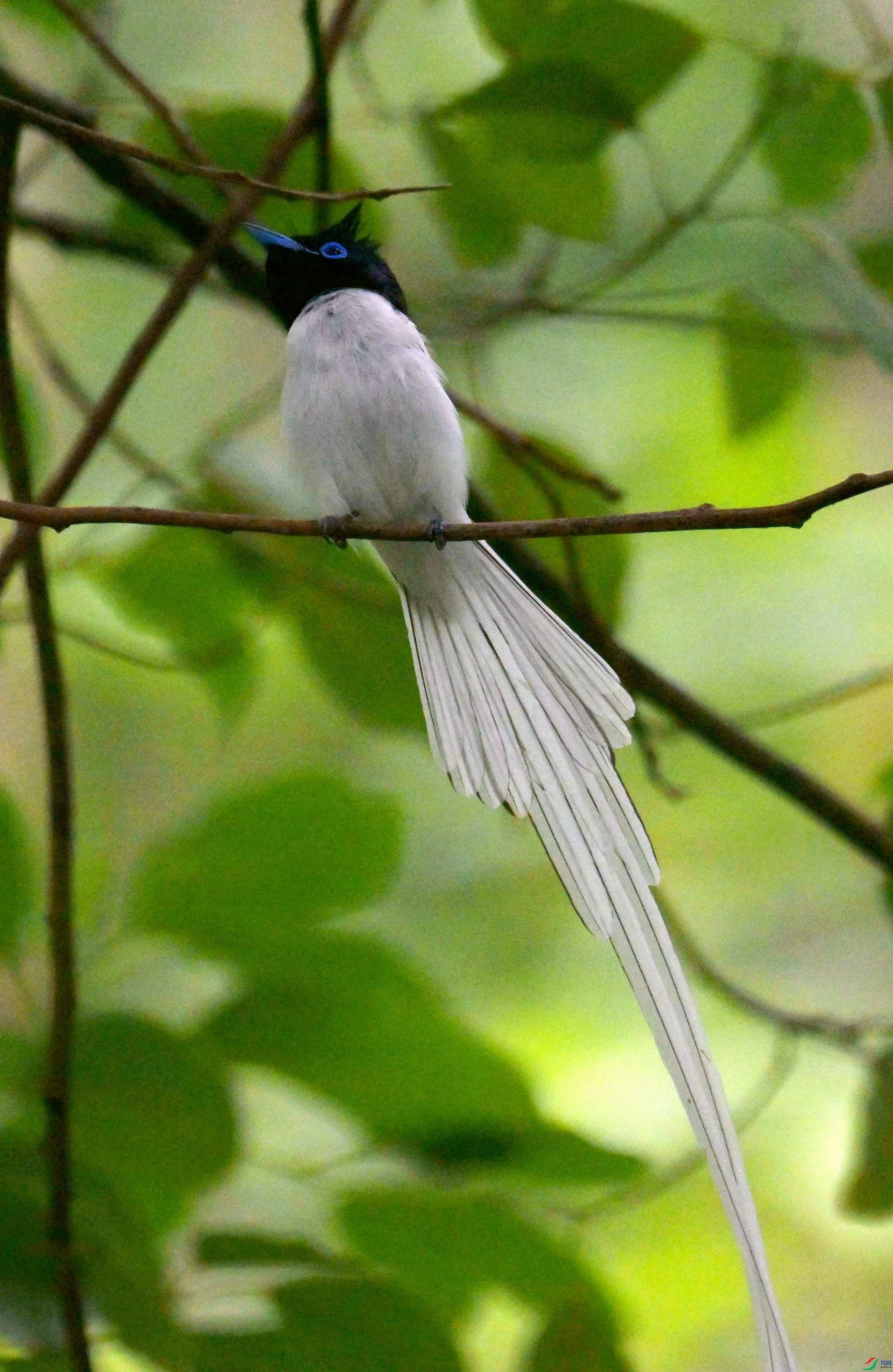DSC_9496.jpg
