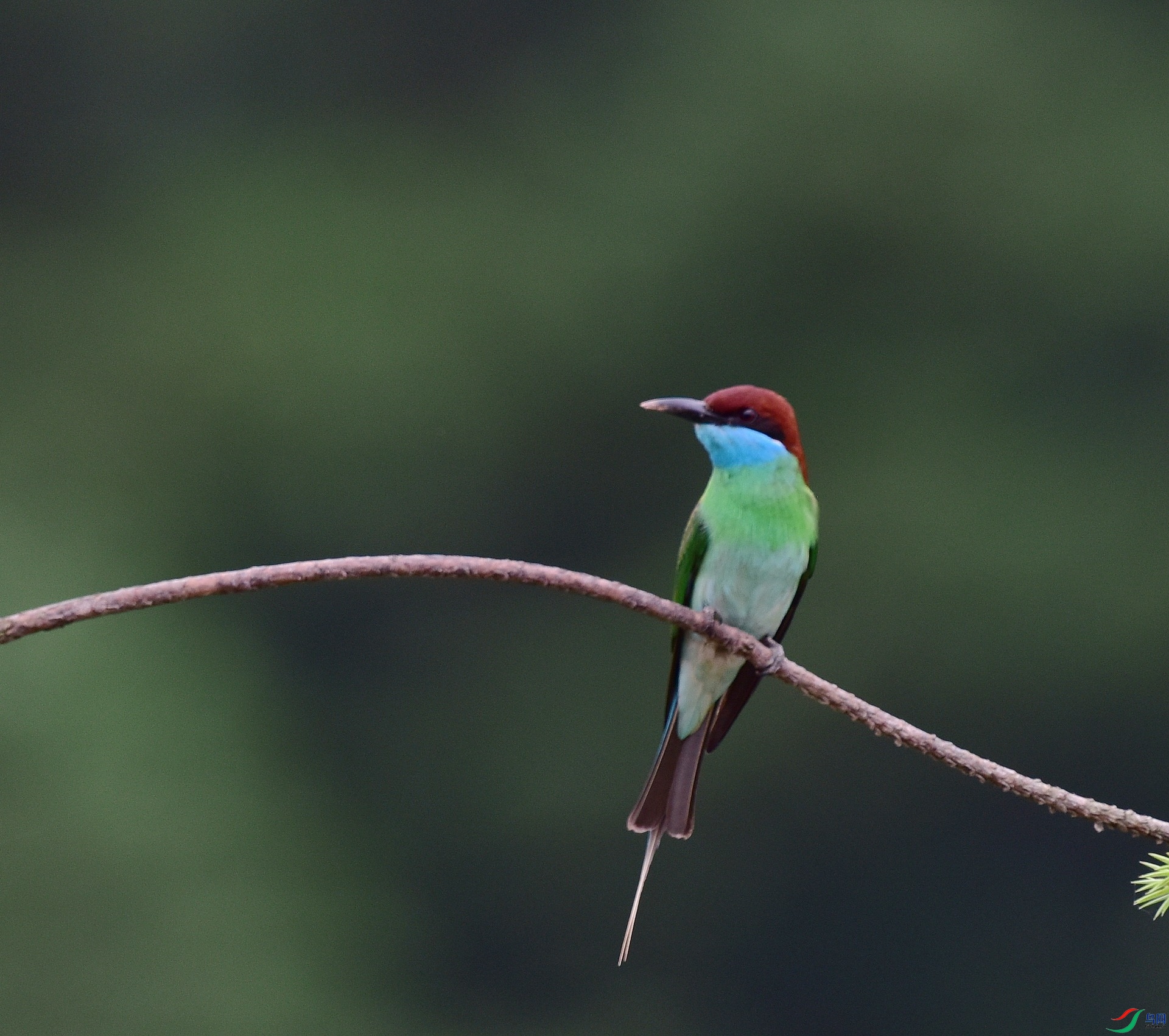D8I_1146.jpg